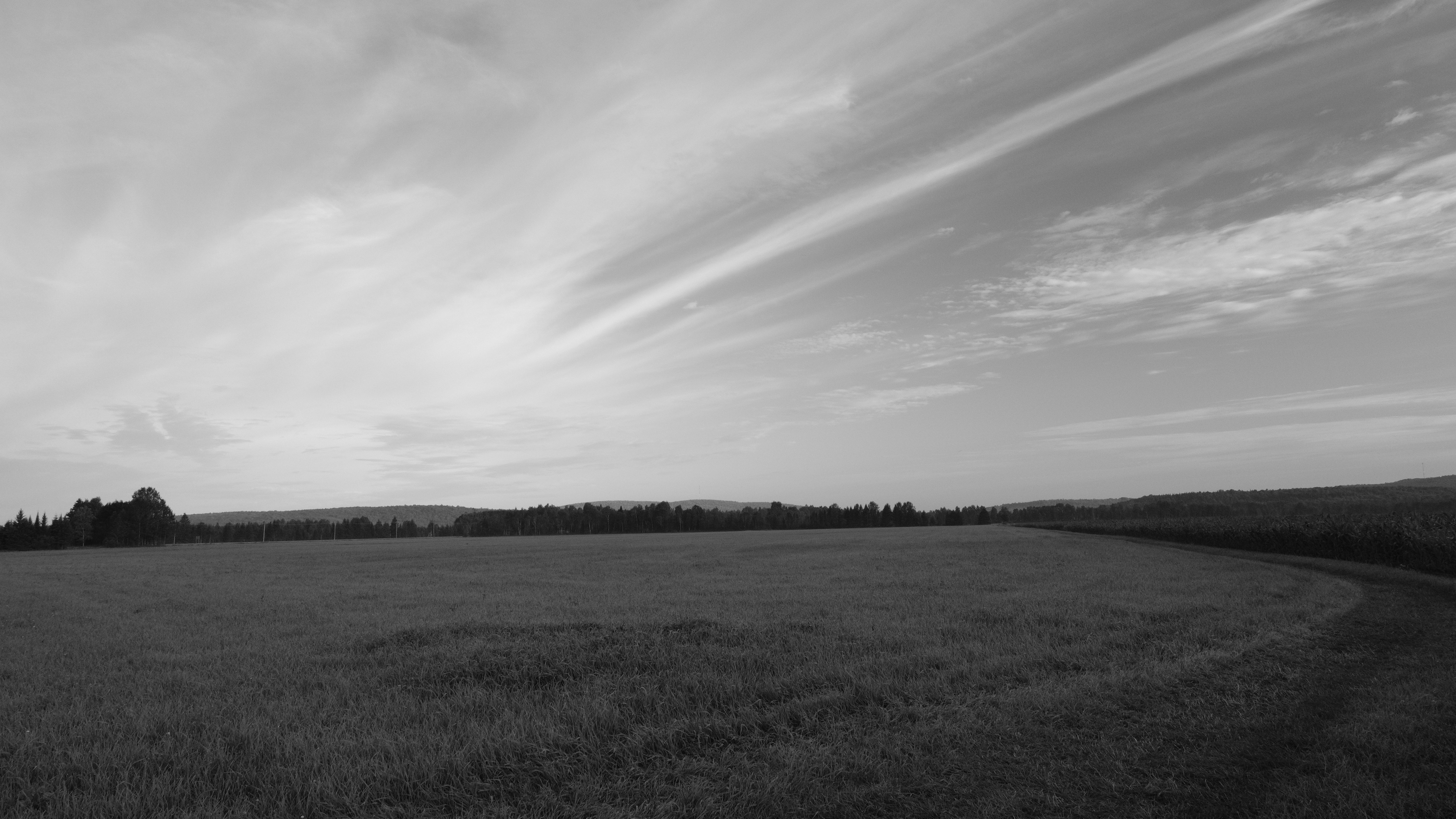 Photo by jamesart7758