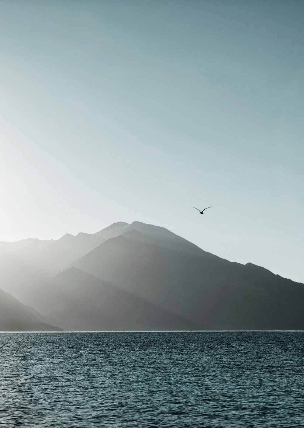 a bird flying over a large body of water