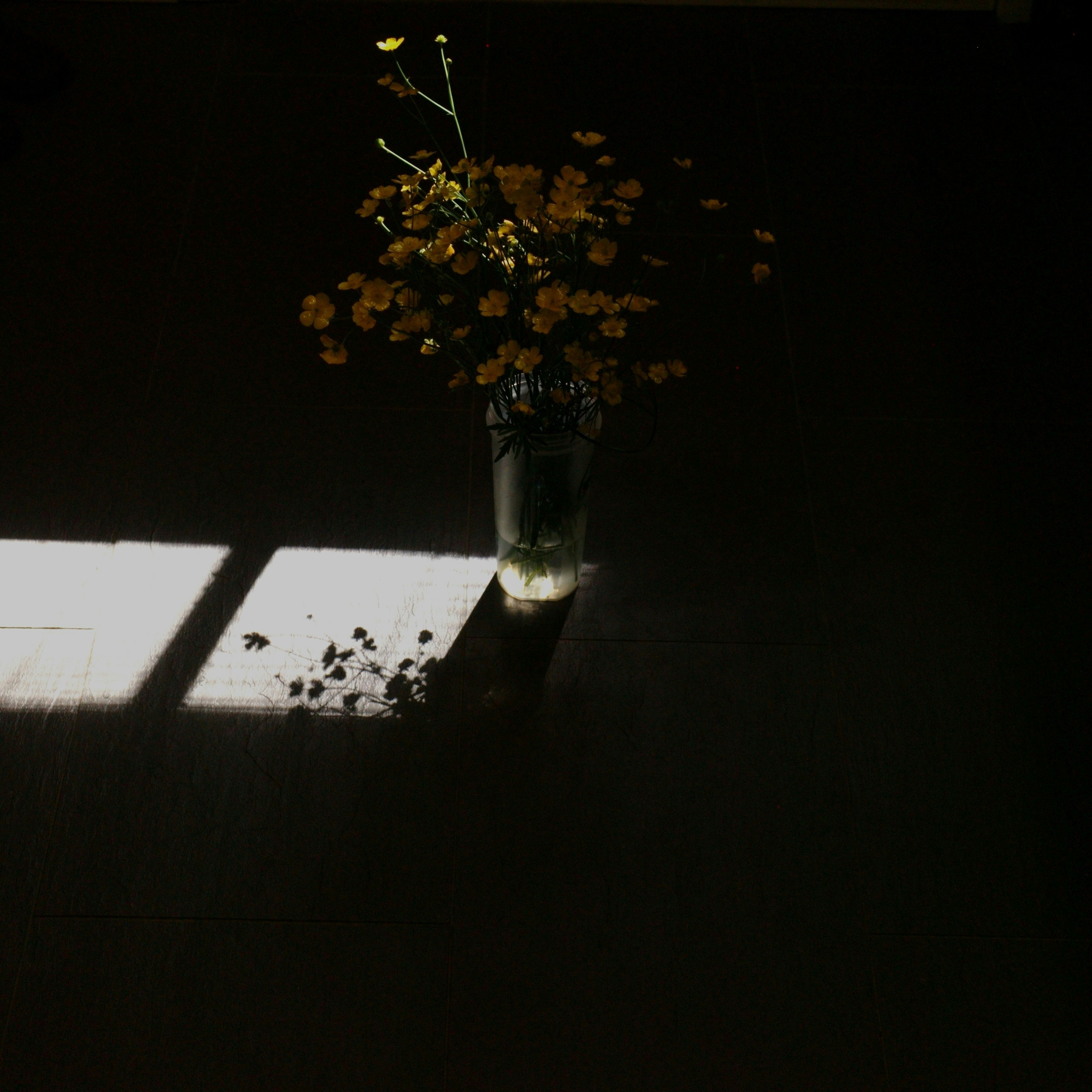 Photo by jamesart7758