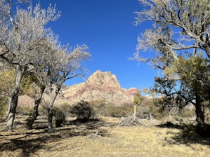 A rugged piece of raw land in New Mexico with distant mountains and clear blue skies.