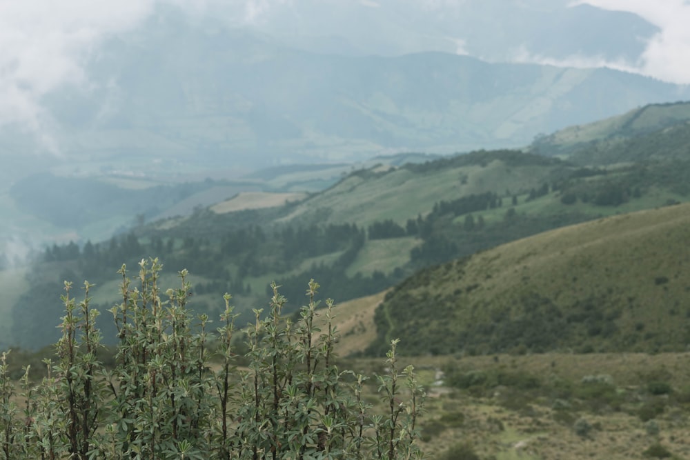 a view of a valley with mountains in the background