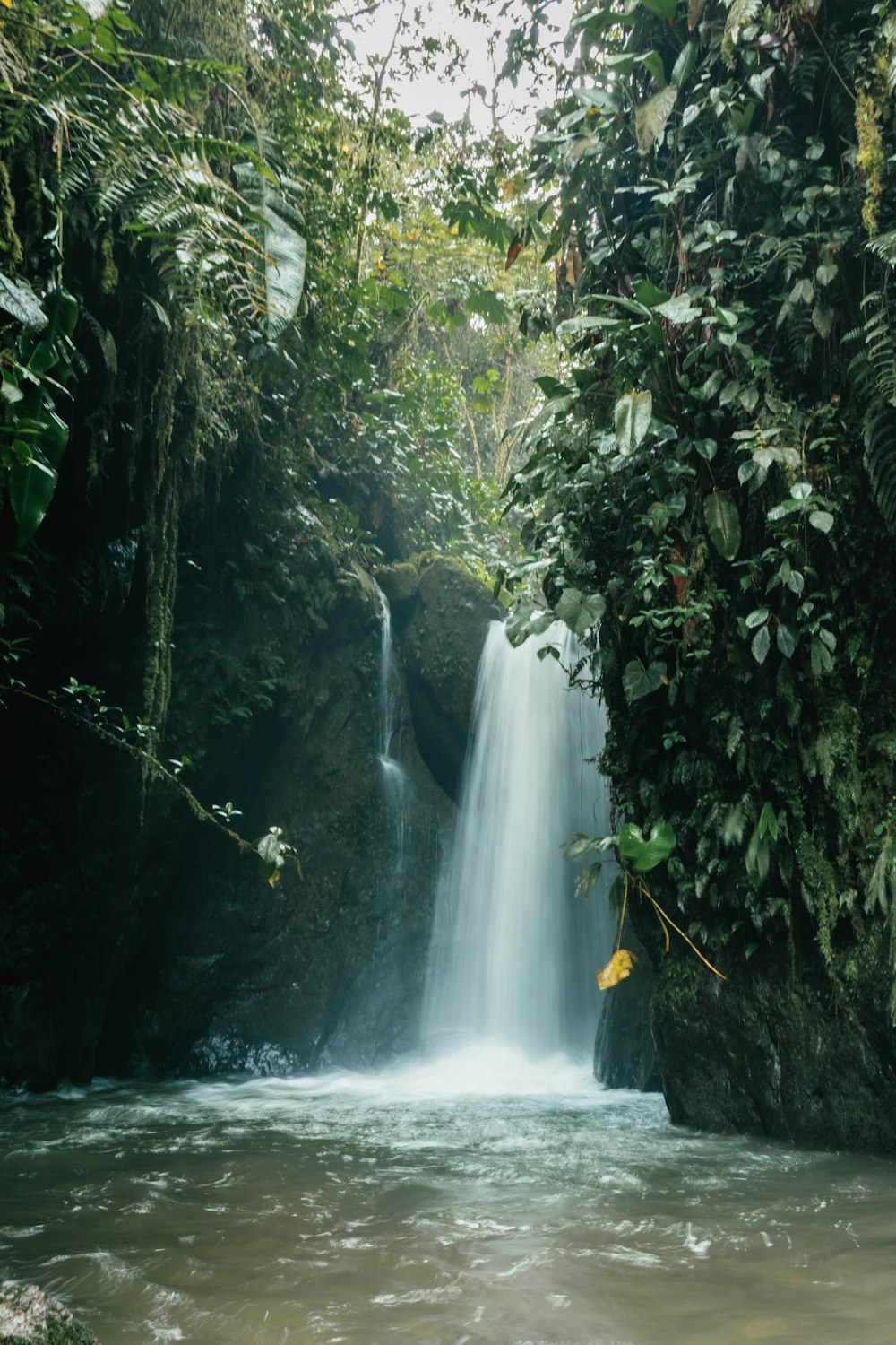 a waterfall in the middle of a jungle