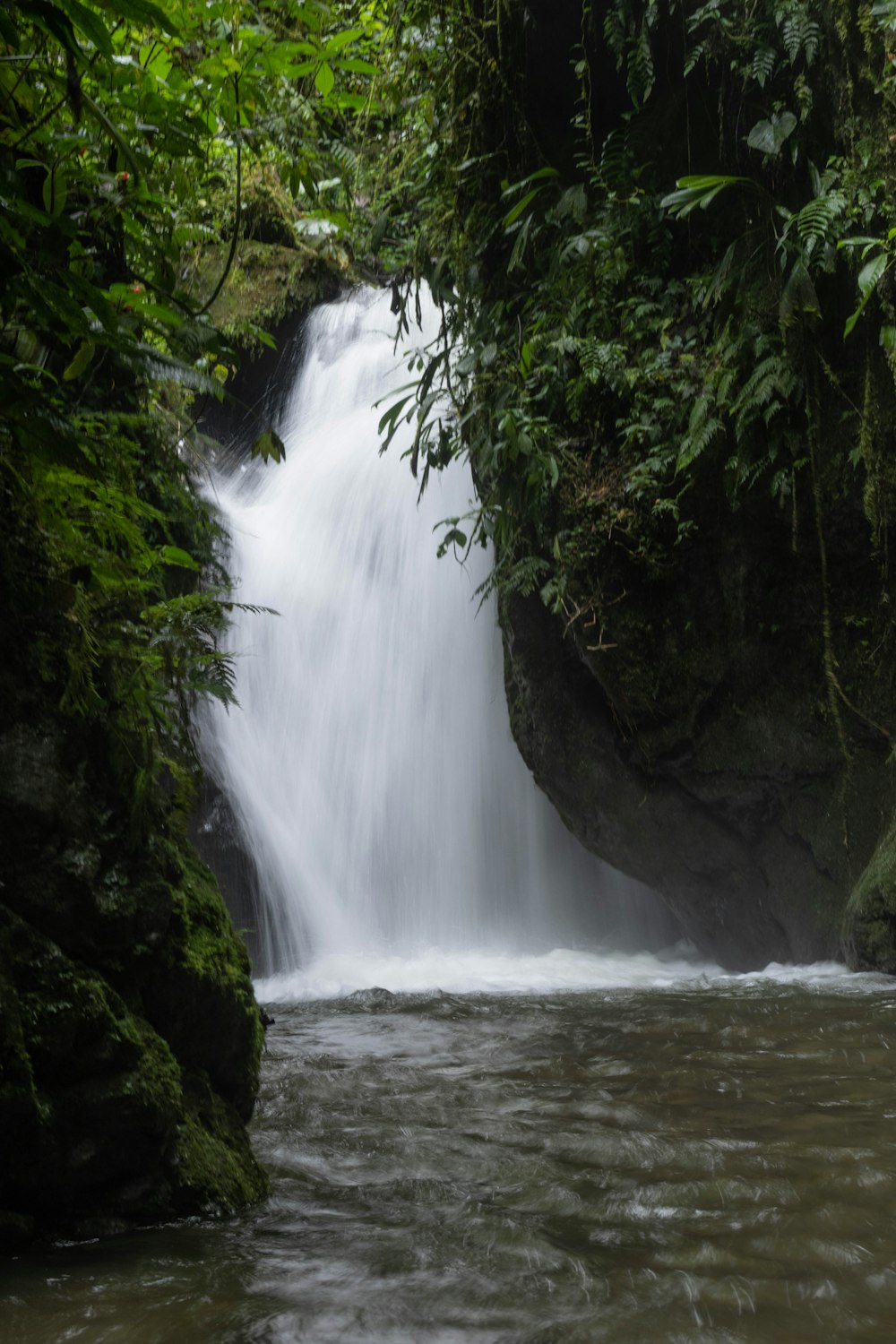 a small waterfall in the middle of a forest