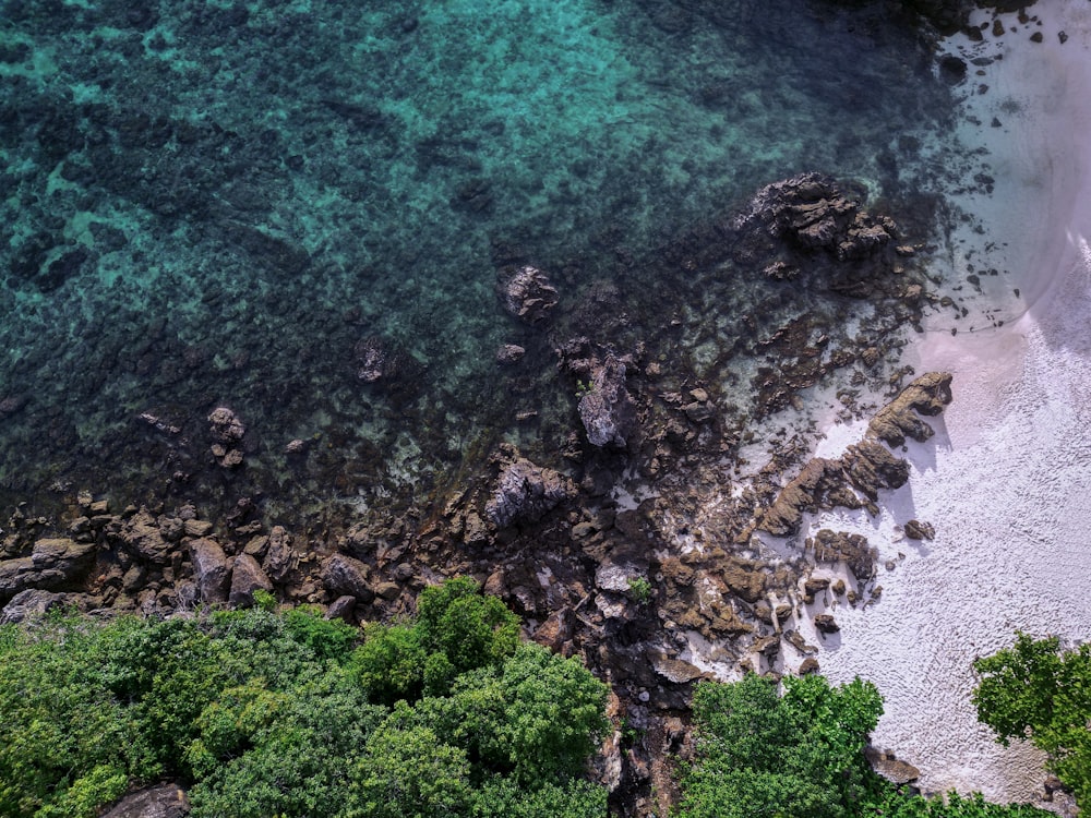 una vista aérea de una playa de arena y un cuerpo de agua