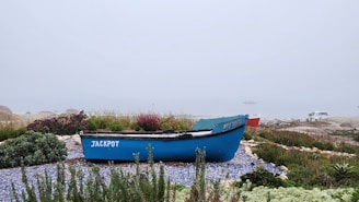 A small blue boat labeled 'JACKPOT' is positioned on a pebbled and grassy shoreline with various plants surrounding it. The background reveals a misty or foggy seascape, where a distant boat can barely be made out on the water. A car is parked to the right, partly obscured by the fog. The scene conveys a sense of calm and tranquility.