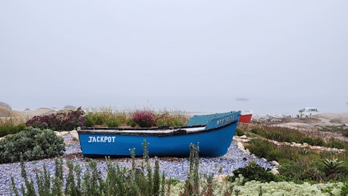 A small blue boat labeled 'JACKPOT' is positioned on a pebbled and grassy shoreline with various plants surrounding it. The background reveals a misty or foggy seascape, where a distant boat can barely be made out on the water. A car is parked to the right, partly obscured by the fog. The scene conveys a sense of calm and tranquility.