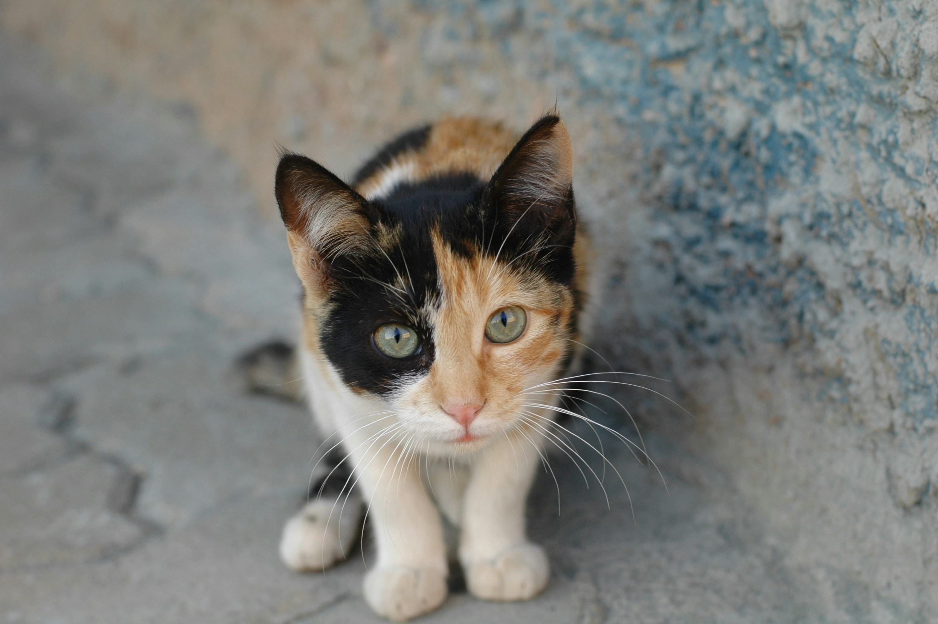 Photo by grape_juice