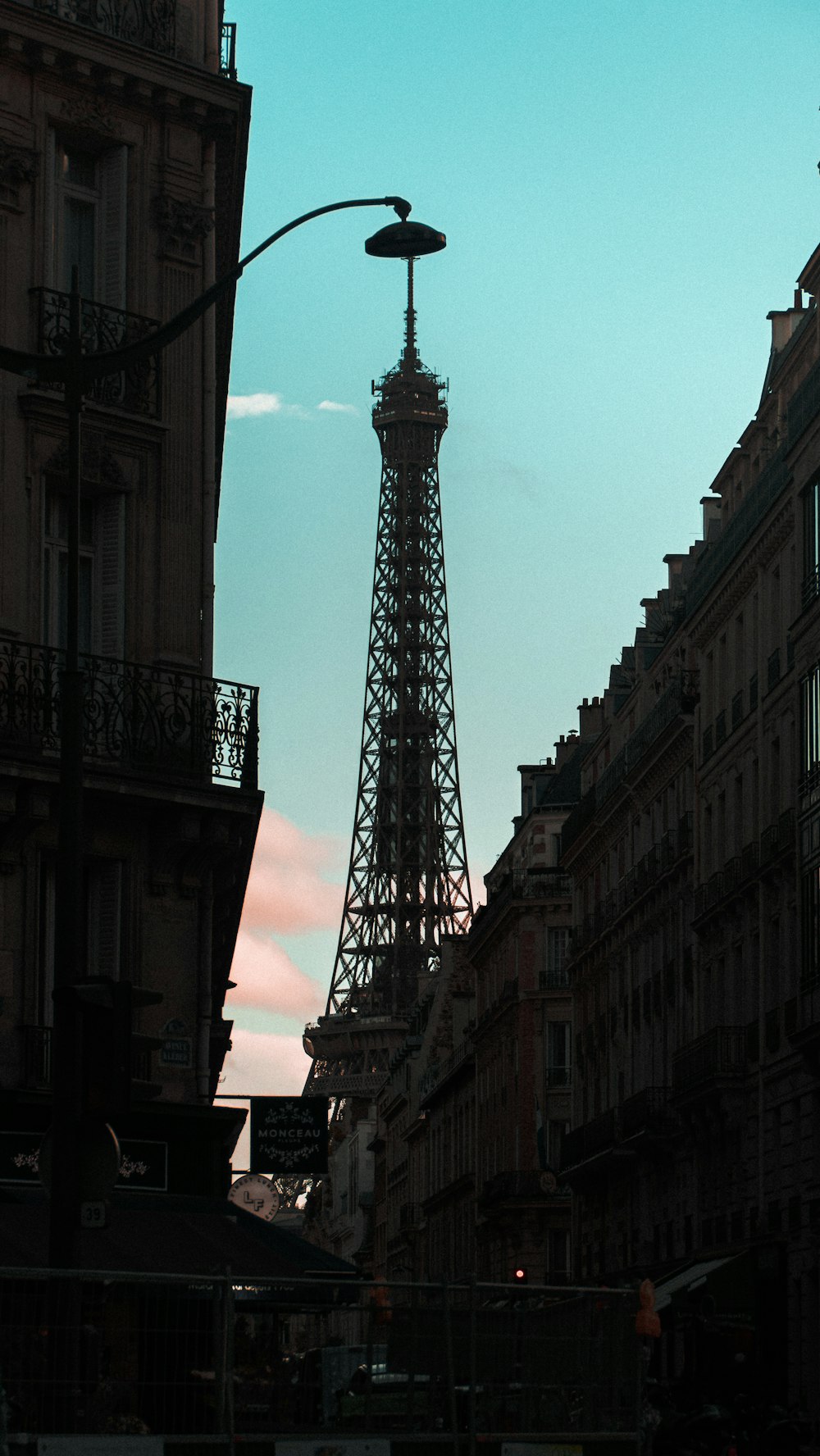 the eiffel tower towering over the city of paris