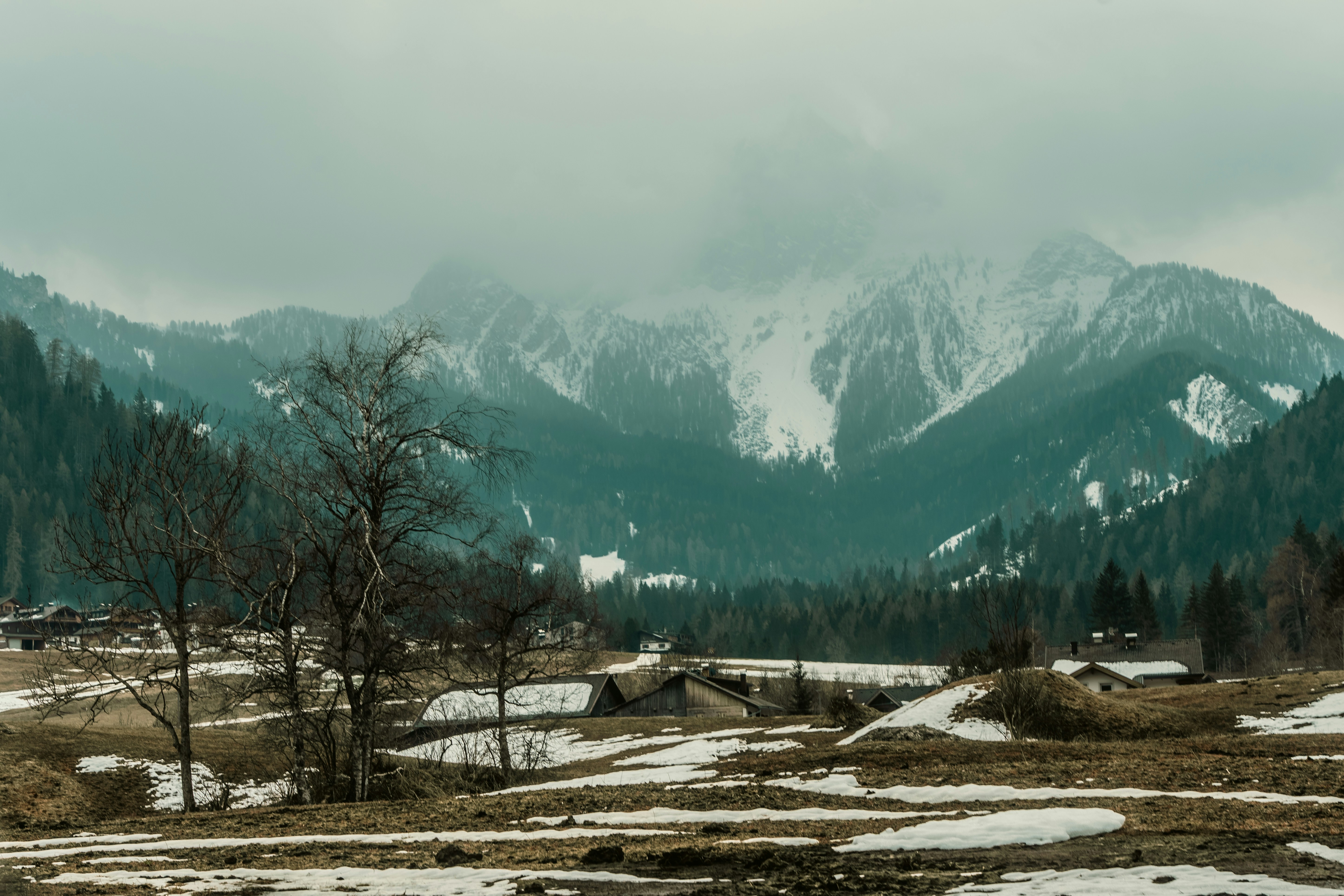 Photo by bryanbrittos