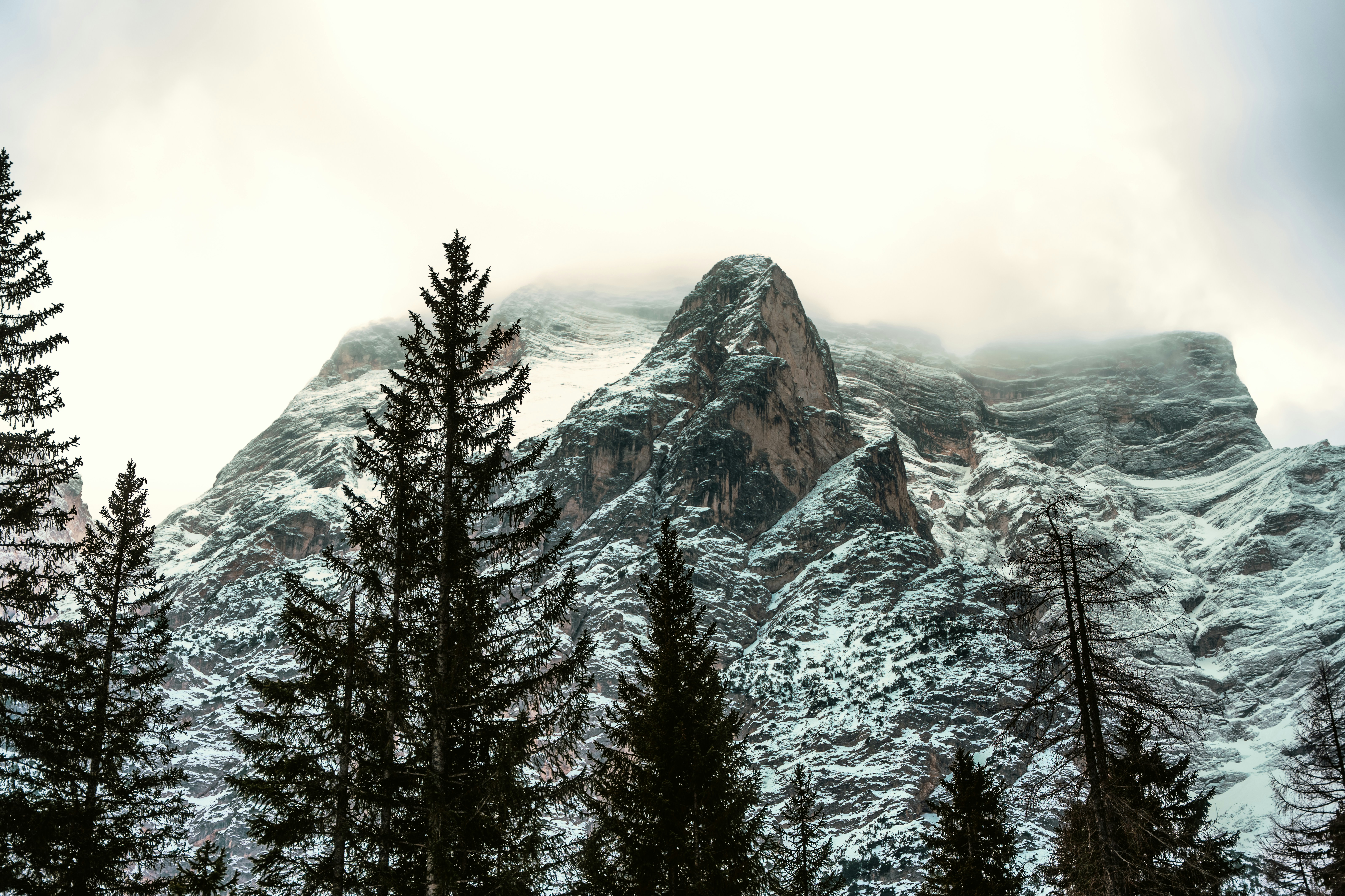 Photo by bryanbrittos