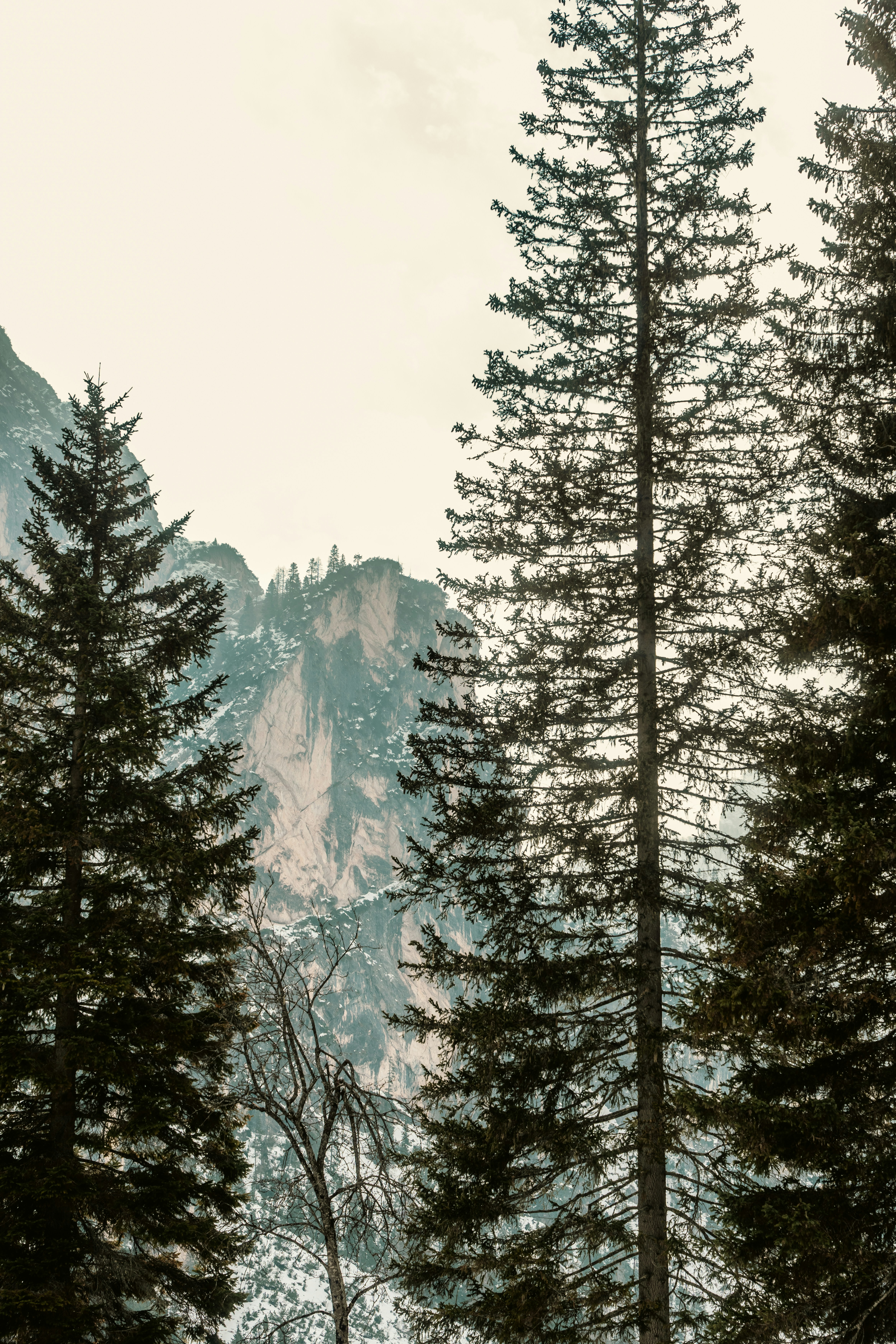 Photo by bryanbrittos