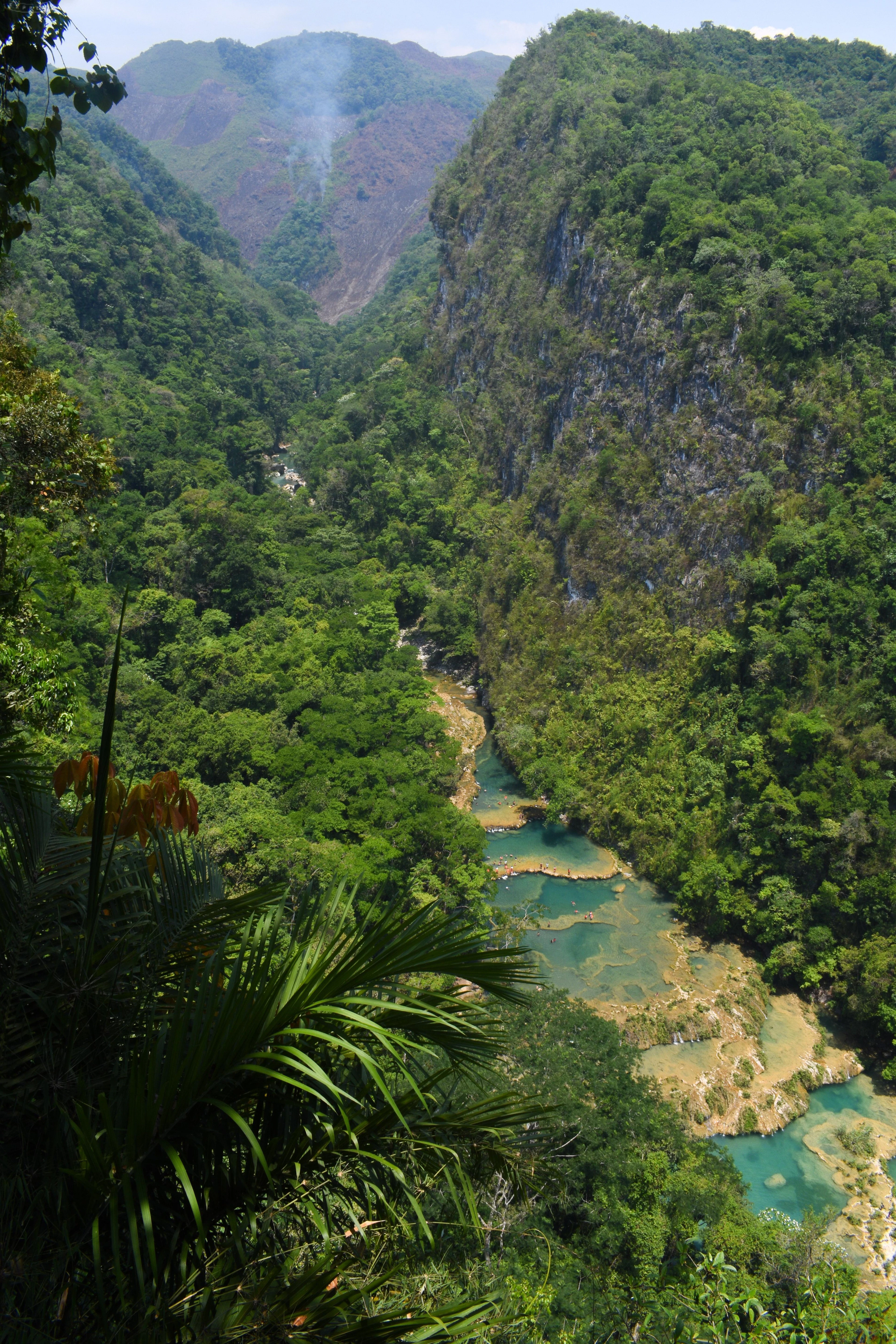 Vaizdas nuo apžvalgos aikštelės į Semuc Champey baseinus giliame miškingame tarpeklyje