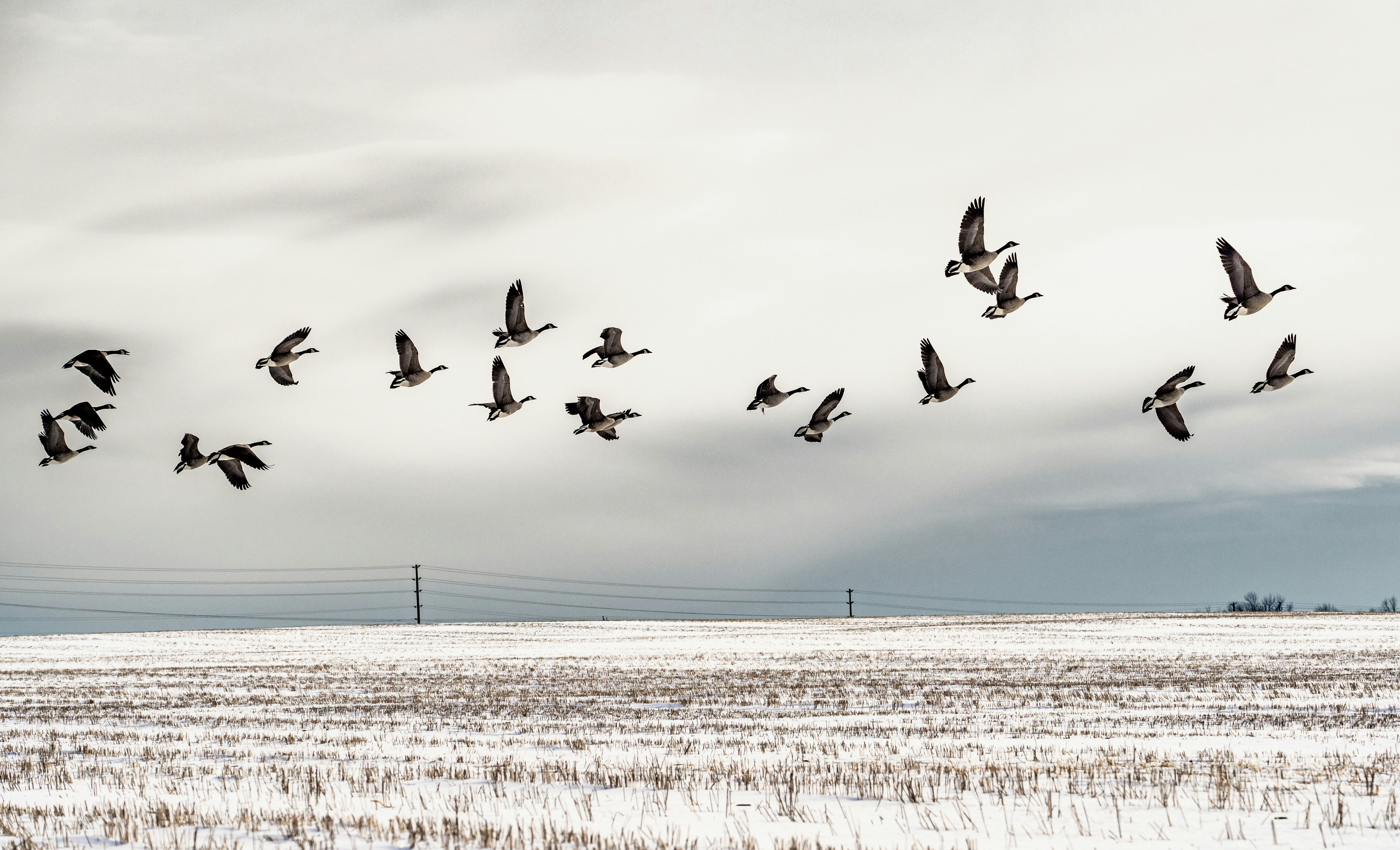 Photo by chris_robert