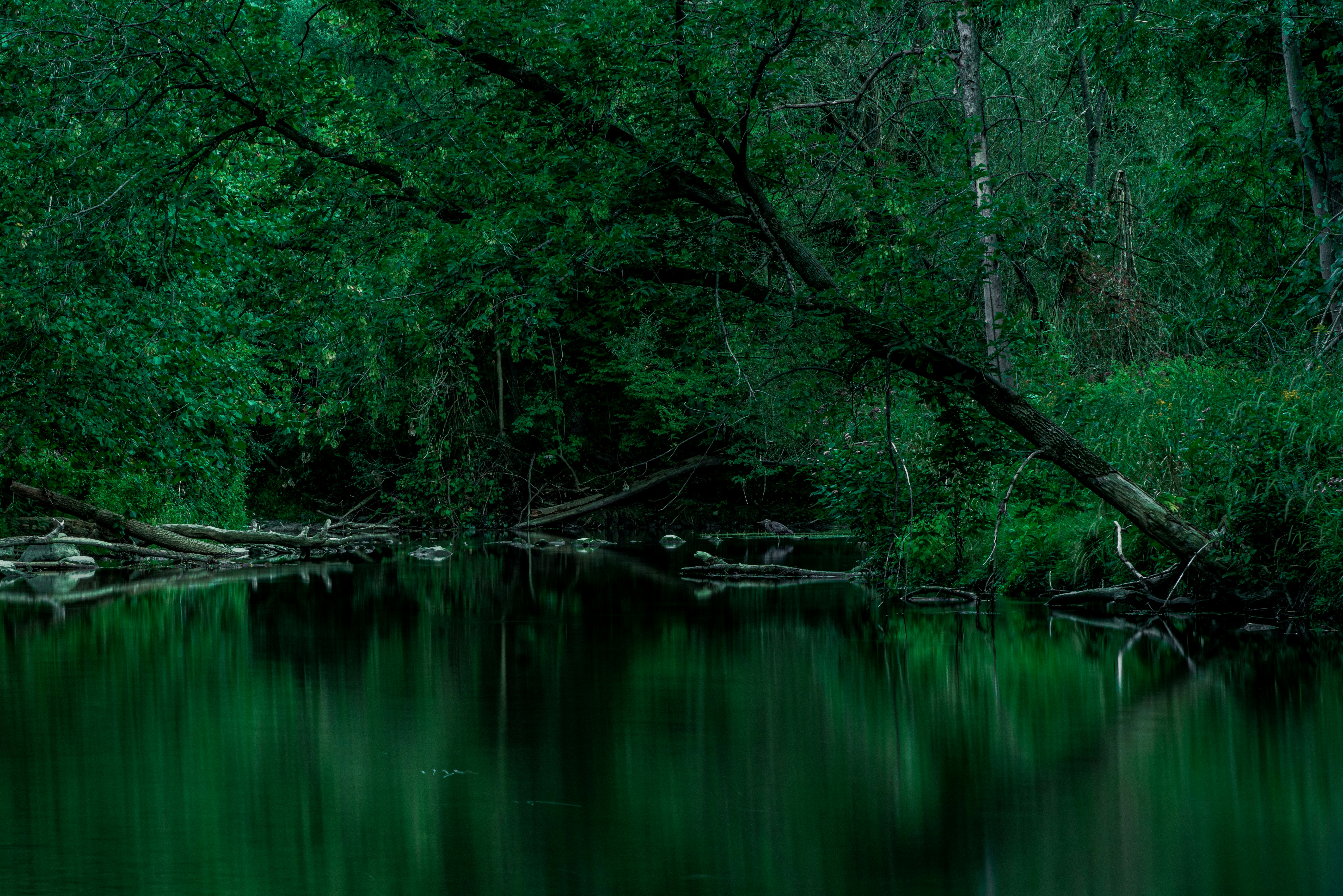 Photo by t_lyndonson