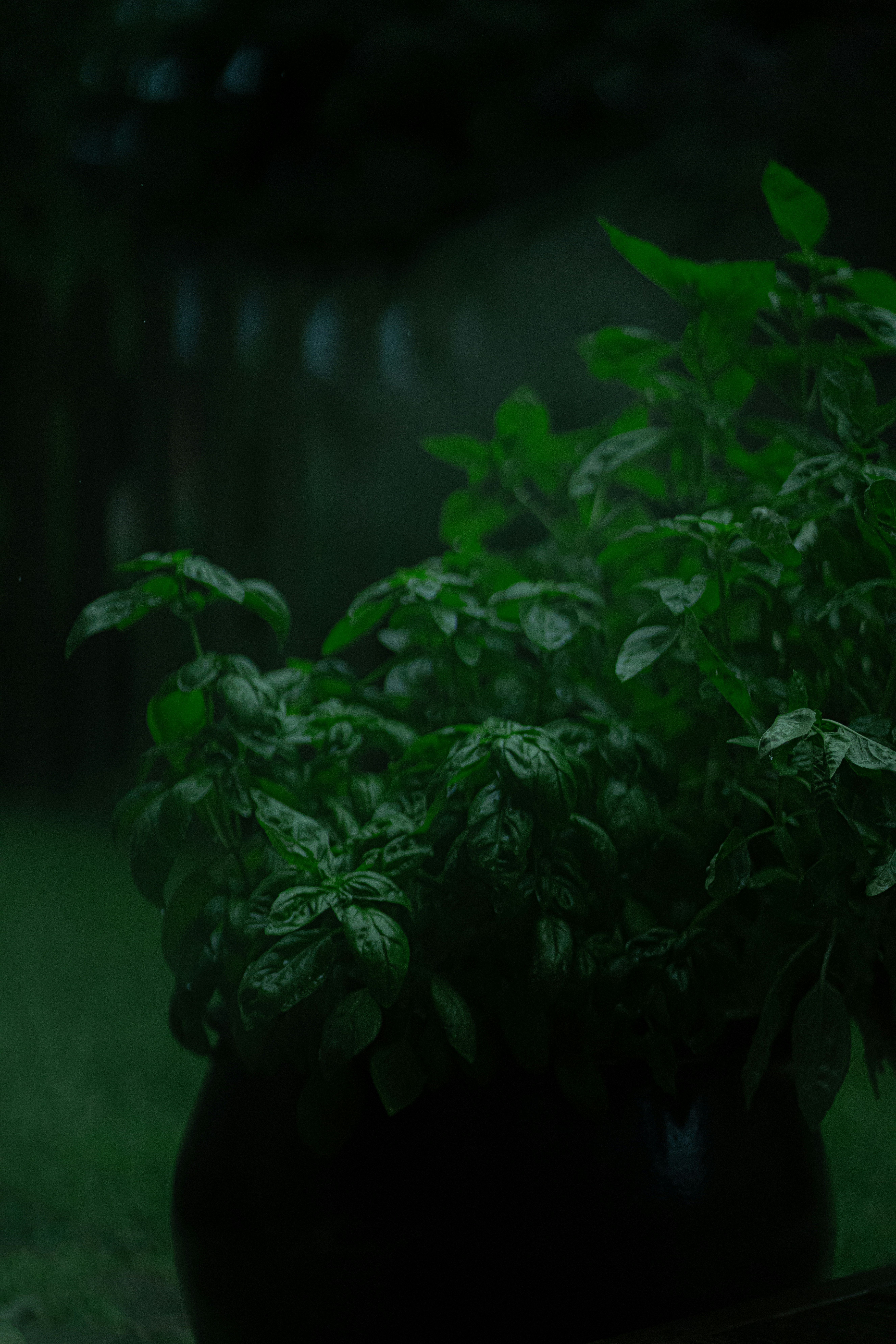 Photo by t_lyndonson