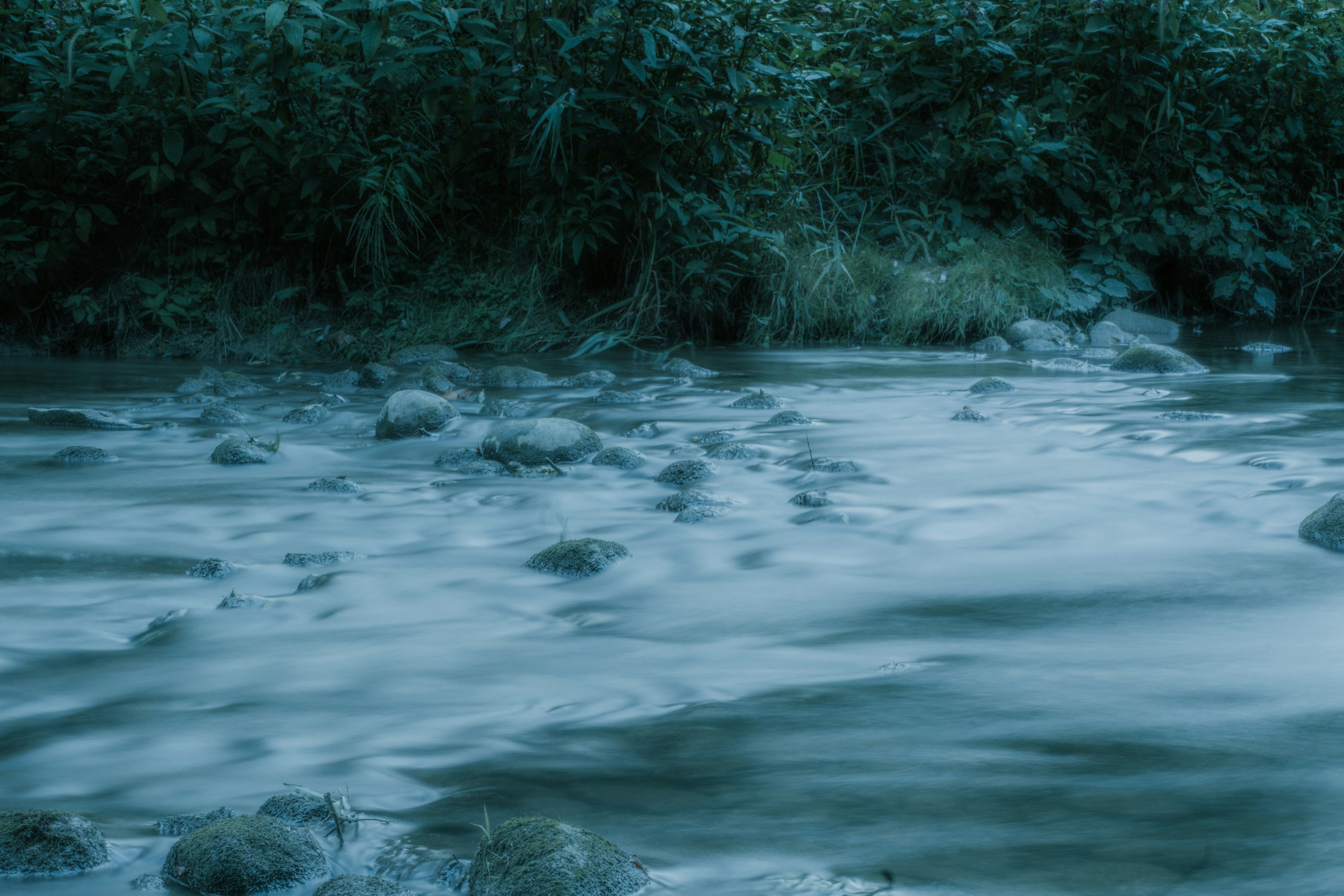 Photo by t_lyndonson