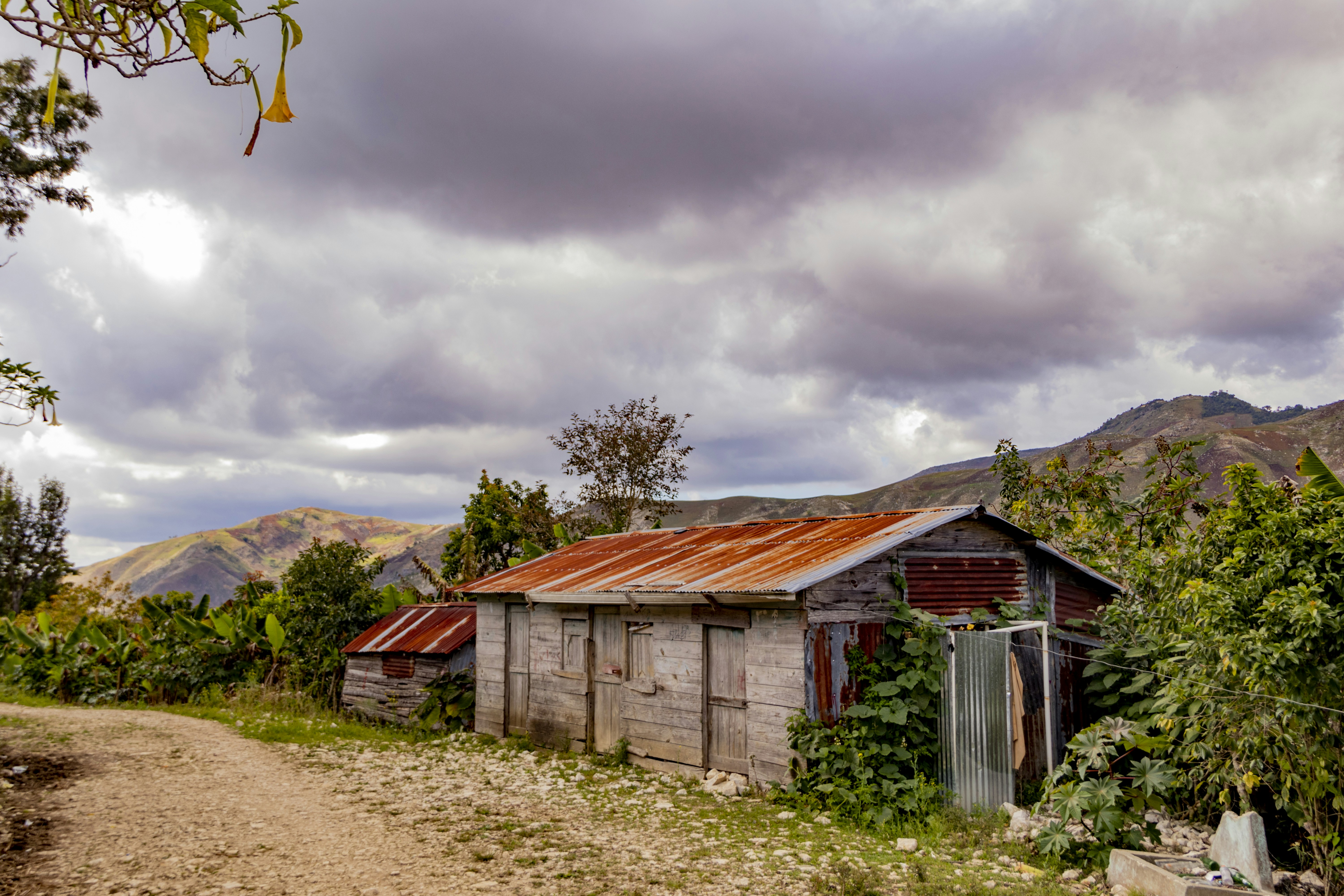 Photo by aldwardcv31