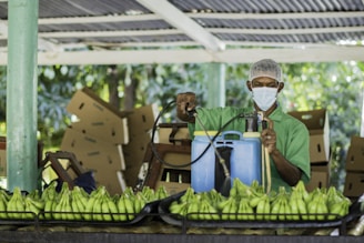 A person wearing a protective face mask and hairnet is using a spray device over a large batch of green bananas. They are working in a setting with stacks of cardboard boxes behind them, suggesting a production or agricultural processing environment.