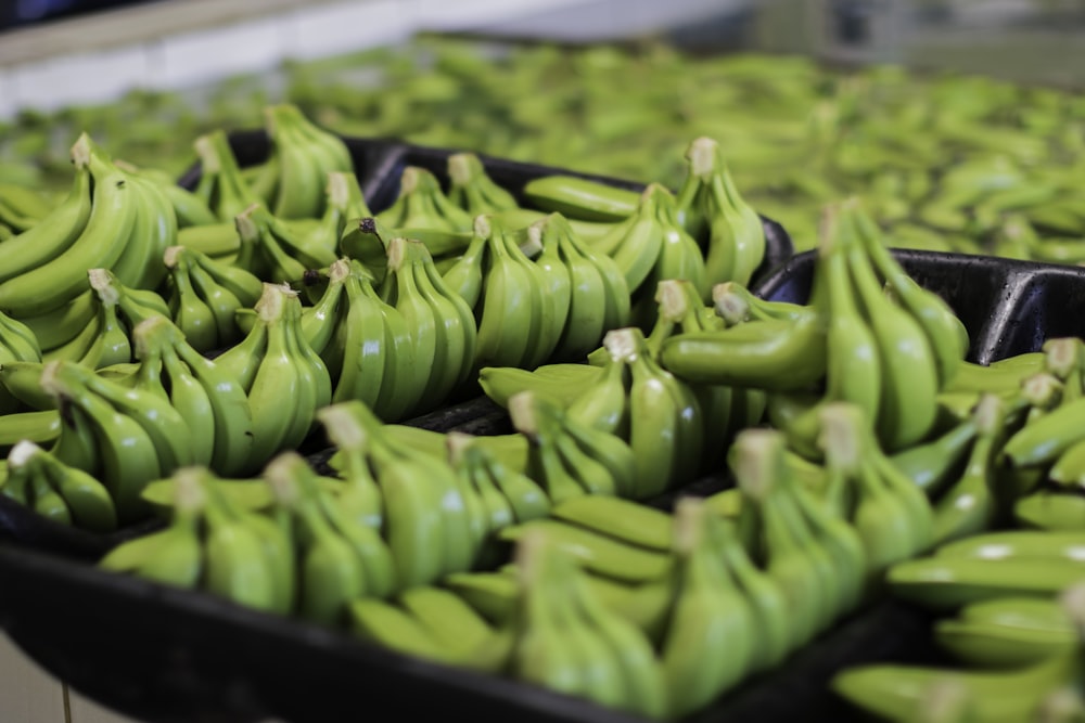 a bunch of green bananas sitting on top of black trays