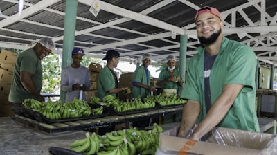 a group of men standing around a table filled with green bananas