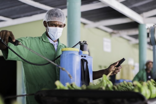 A person in a green uniform and hairnet is wearing a face mask while operating a sprayer. They appear to be working in a facility with green walls and are spraying a row of bananas.