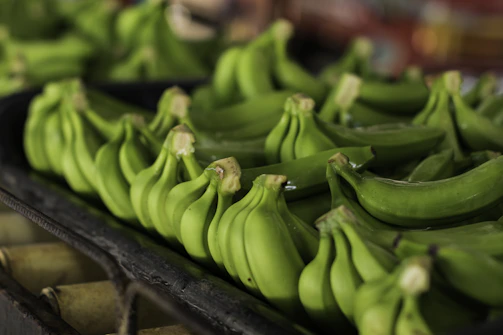 Close-up of fresh bananas and okra arranged neatly in export boxes, highlighting freshness and care.