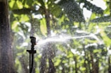 A close-up of a sprinkler system in action, dispersing water droplets across a lush, green garden. The background displays blurred foliage, suggesting a rich and healthy plant environment. Sunlight enhances the clarity of the water spray, creating a dynamic and refreshing scene.