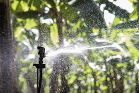 A professional technician installing an automatic irrigation system in a lush garden.
