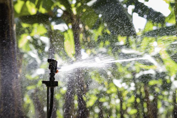 Close-up of a drip irrigation system gently watering a thriving garden bed.