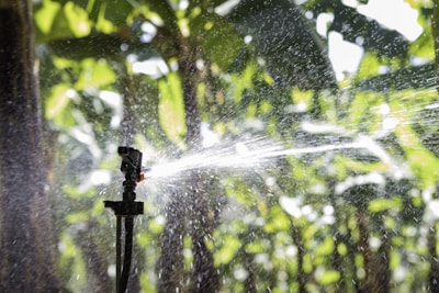 A close-up of a sprinkler system in action, dispersing water droplets across a lush, green garden. The background displays blurred foliage, suggesting a rich and healthy plant environment. Sunlight enhances the clarity of the water spray, creating a dynamic and refreshing scene.