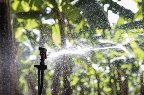A close-up of a sprinkler system in action, dispersing water droplets across a lush, green garden. The background displays blurred foliage, suggesting a rich and healthy plant environment. Sunlight enhances the clarity of the water spray, creating a dynamic and refreshing scene.