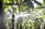 A close-up of a sprinkler system in action, dispersing water droplets across a lush, green garden. The background displays blurred foliage, suggesting a rich and healthy plant environment. Sunlight enhances the clarity of the water spray, creating a dynamic and refreshing scene.