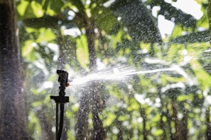 A close-up of a sprinkler system in action, dispersing water droplets across a lush, green garden. The background displays blurred foliage, suggesting a rich and healthy plant environment. Sunlight enhances the clarity of the water spray, creating a dynamic and refreshing scene.
