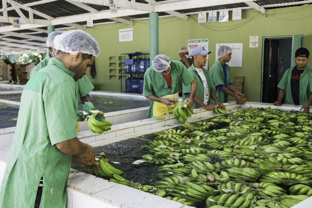 a group of men standing around a bunch of green bananas