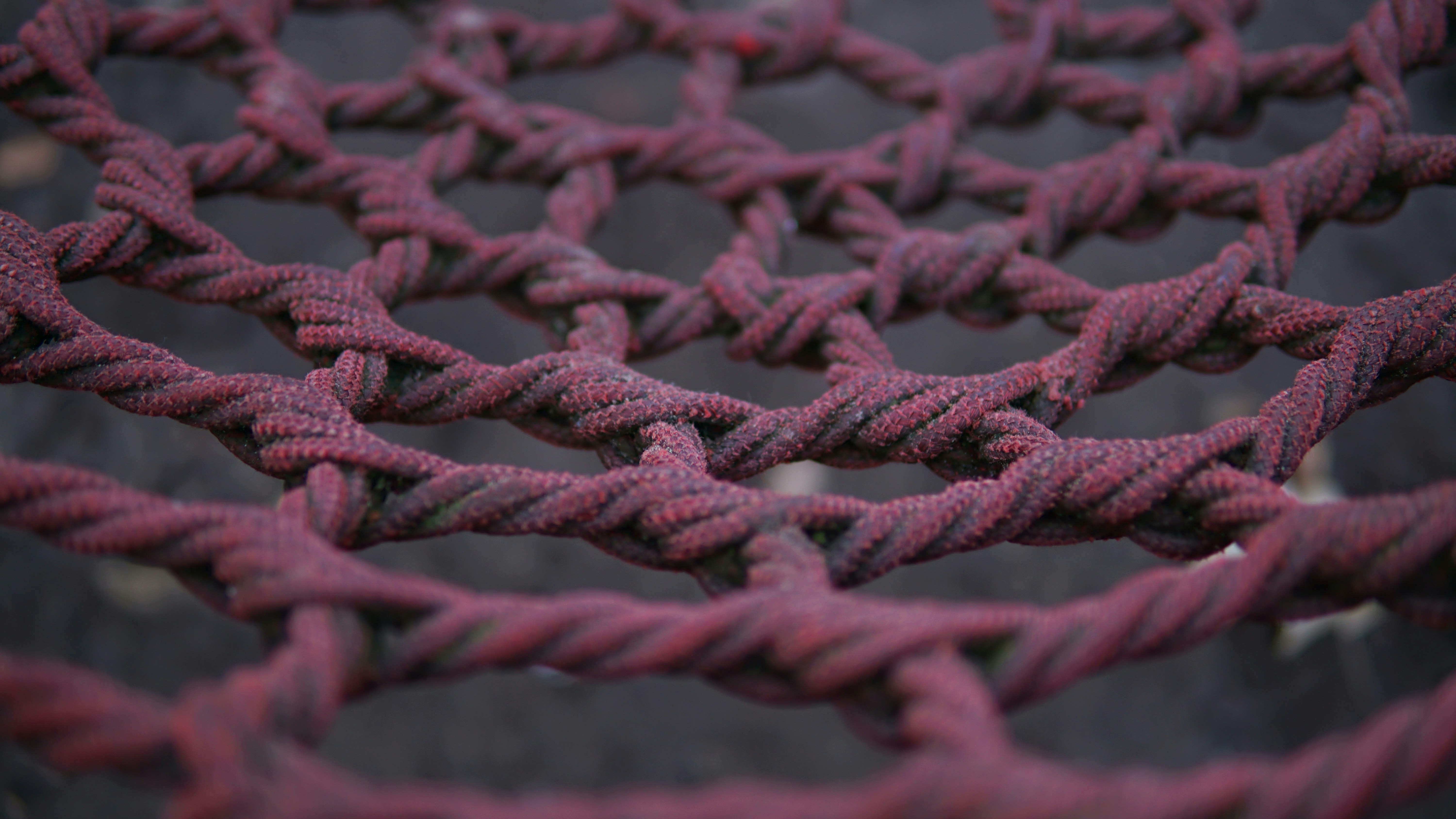 Teil 2 🧠 Gehirngerechtes Lesen macht Klausurtexte handlebar 📖📝