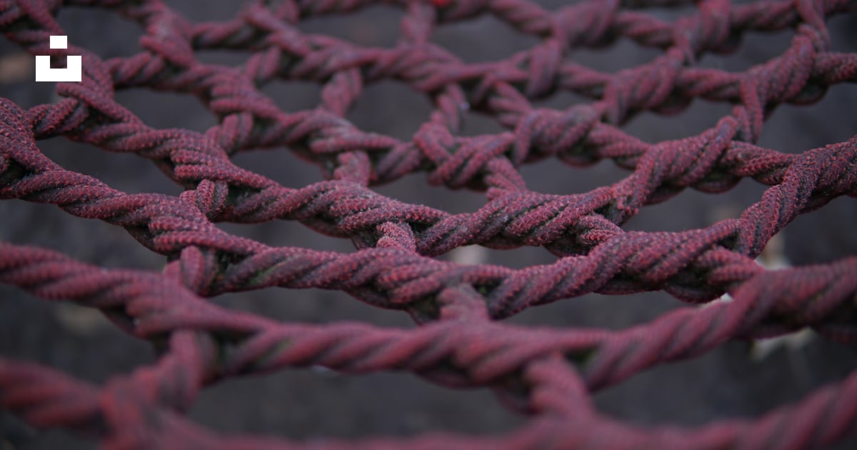 A close up of a red rope with a black background photo – Free Rot Image ...