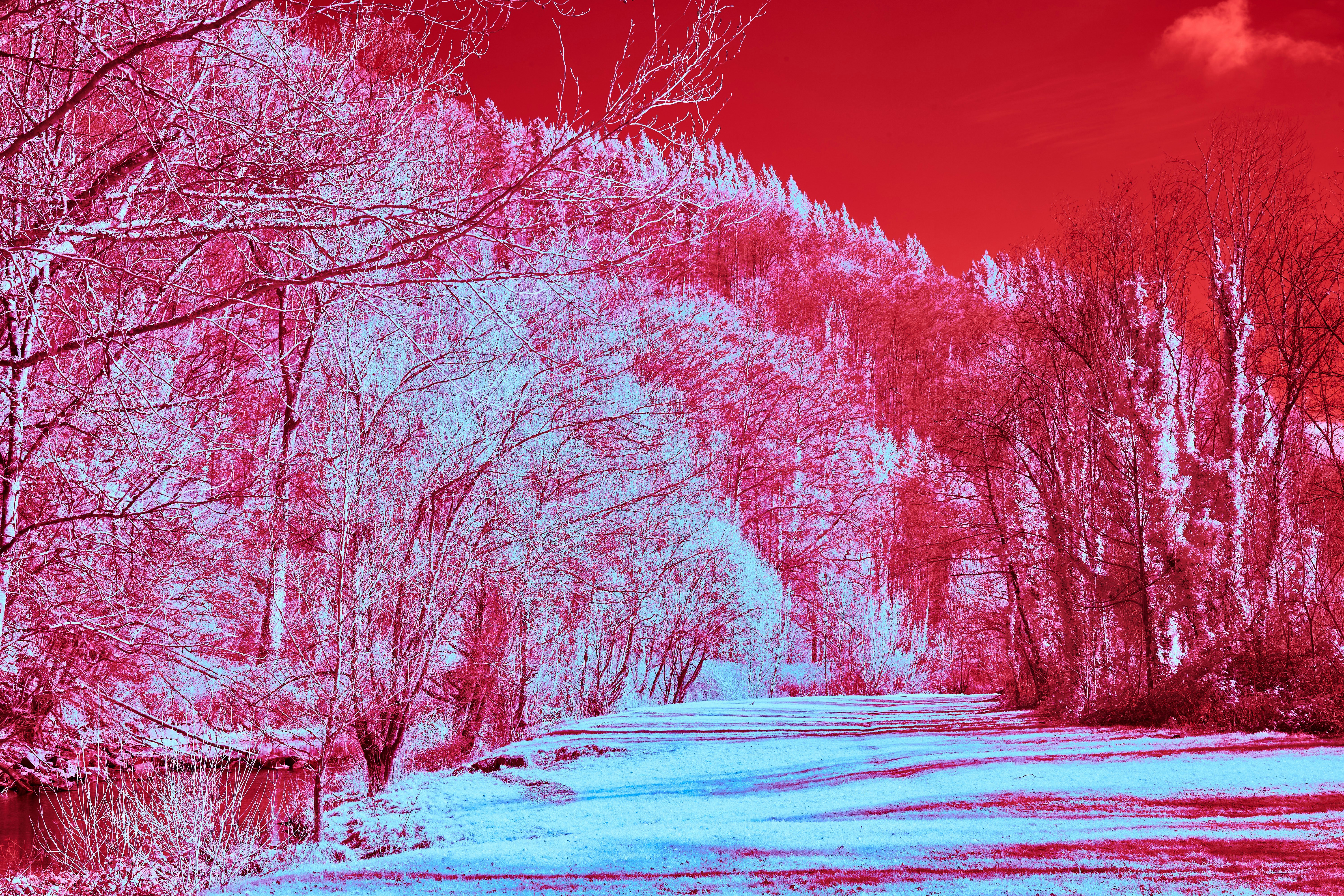 Photo by wolfgang_hasselmann