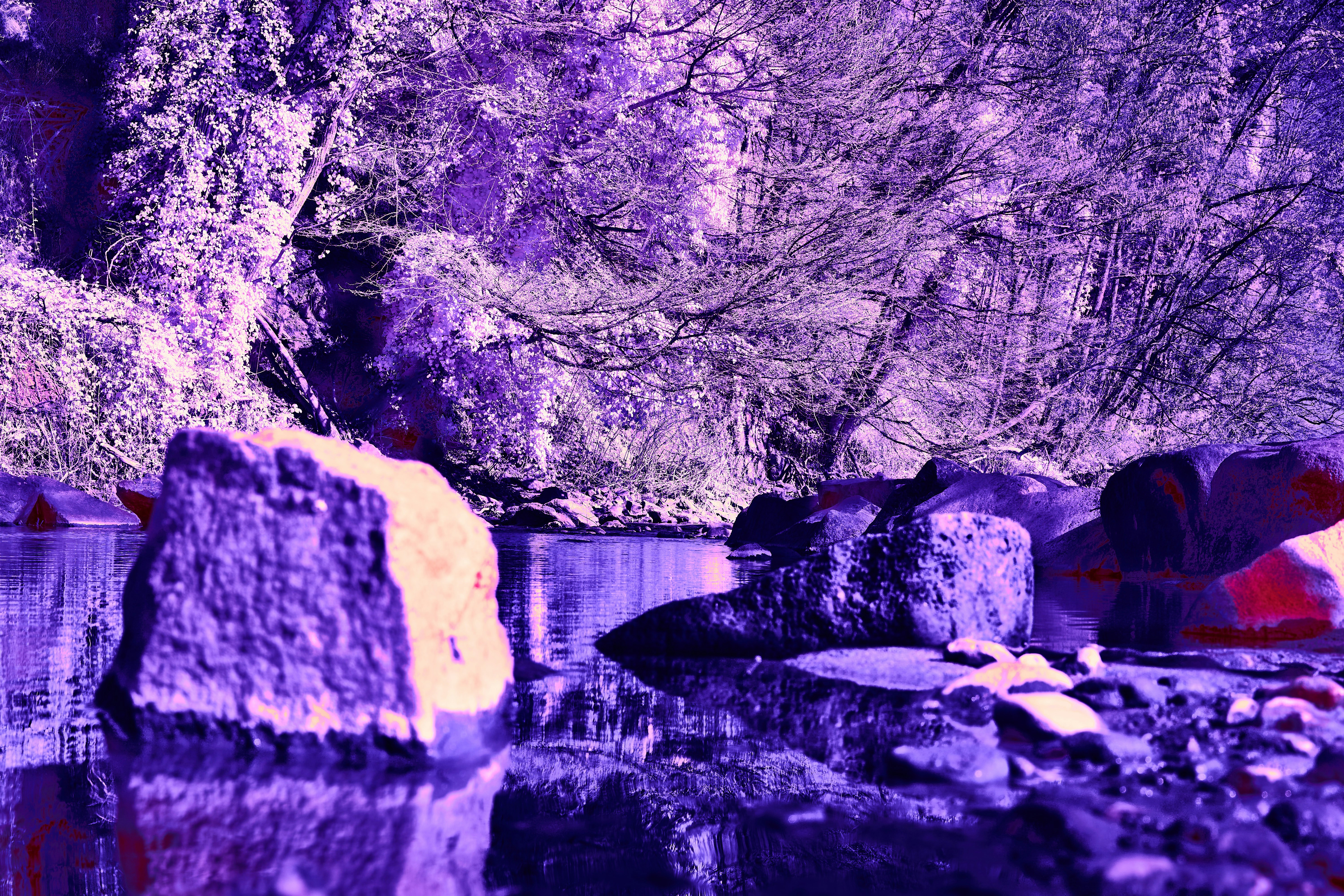 Photo by wolfgang_hasselmann