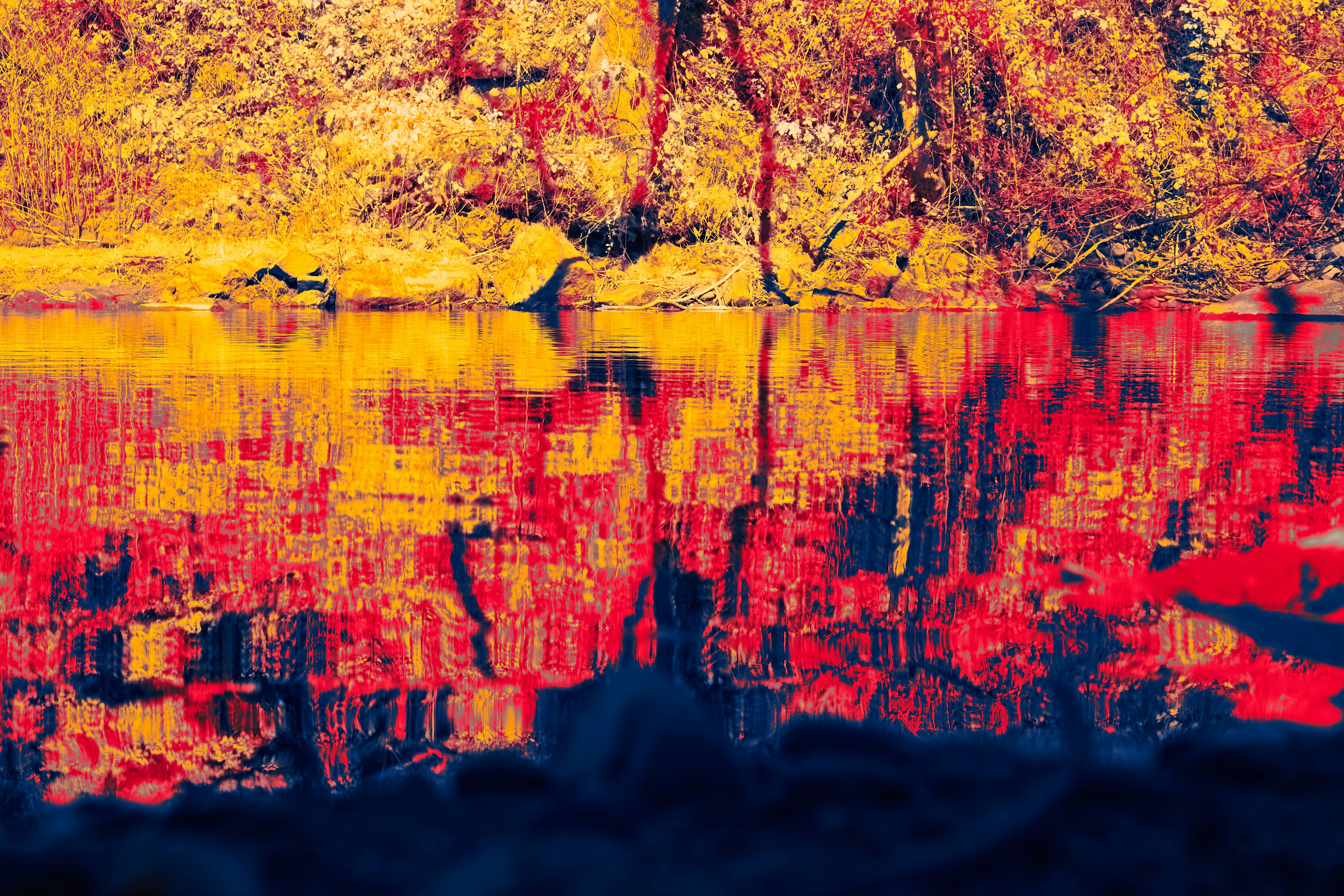 Photo by wolfgang_hasselmann