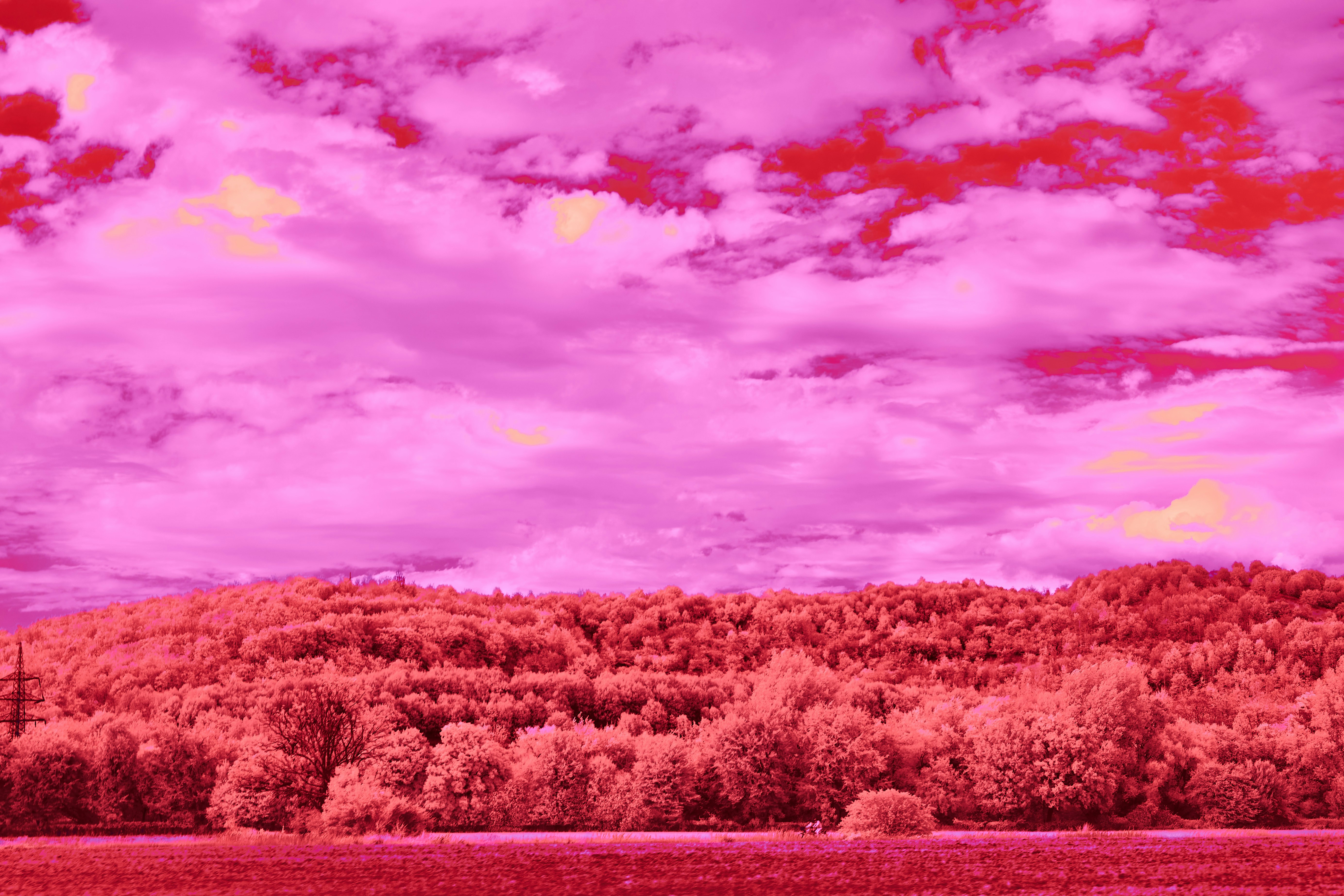 Photo by wolfgang_hasselmann