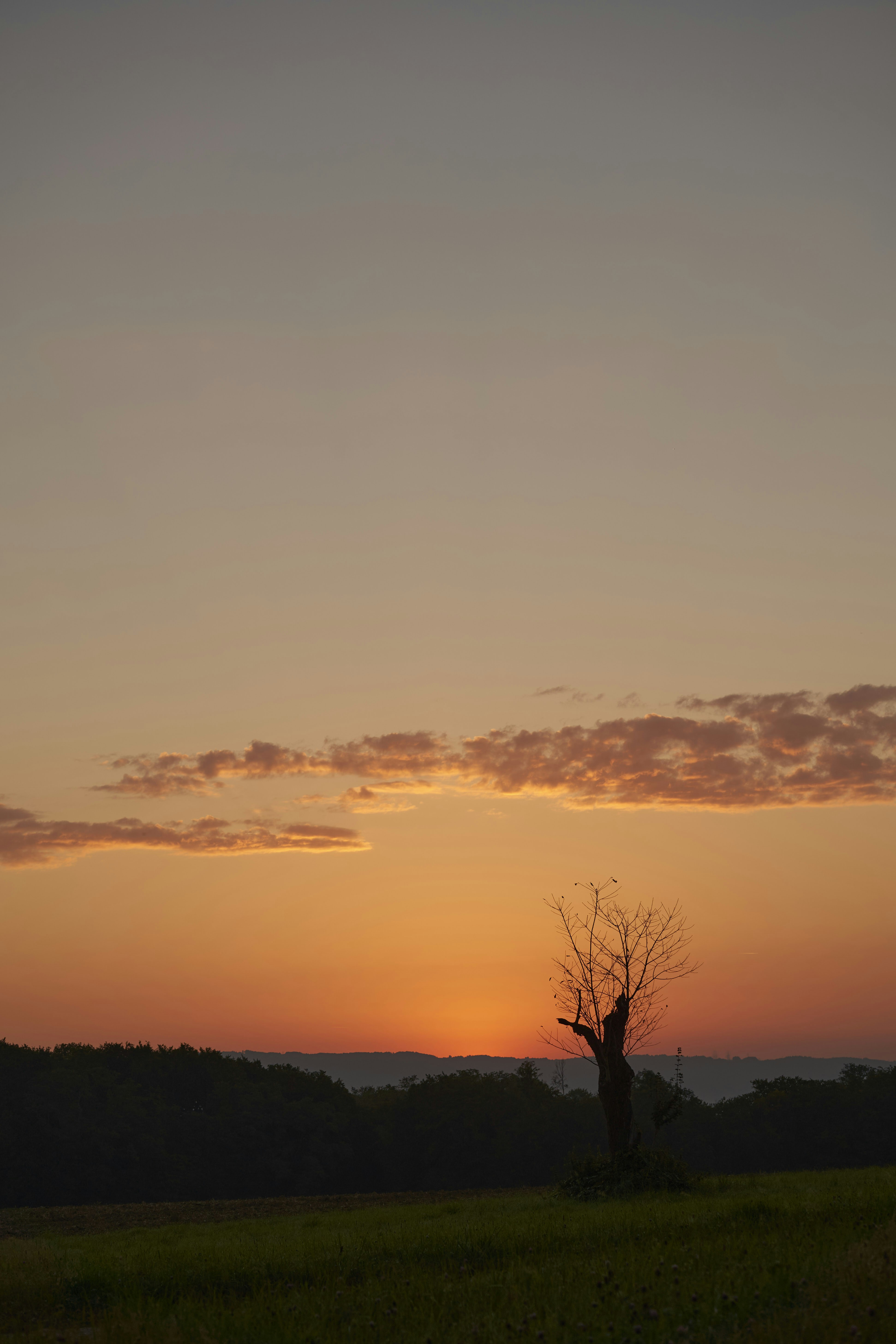 Photo by wolfgang_hasselmann