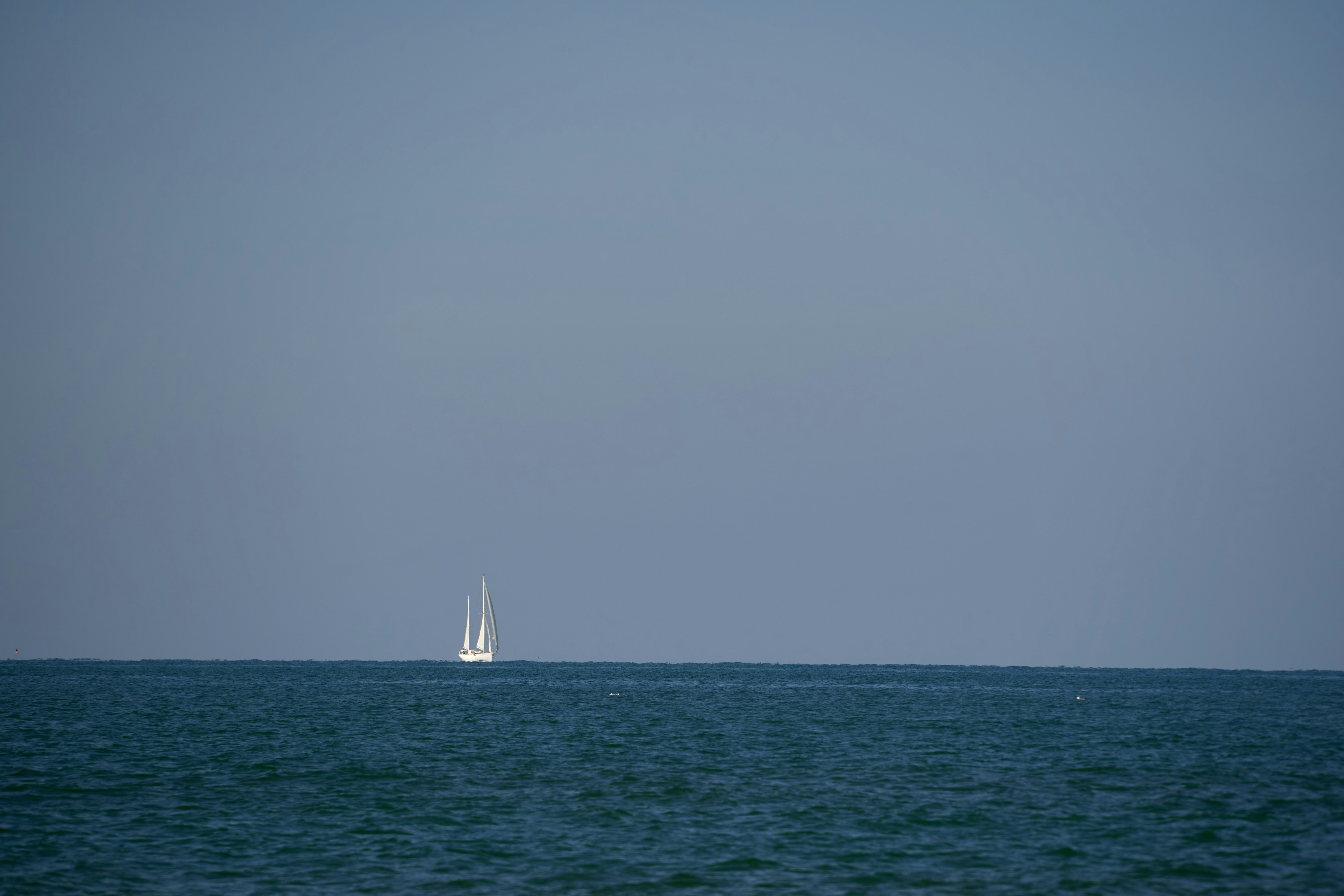 Photo by wolfgang_hasselmann