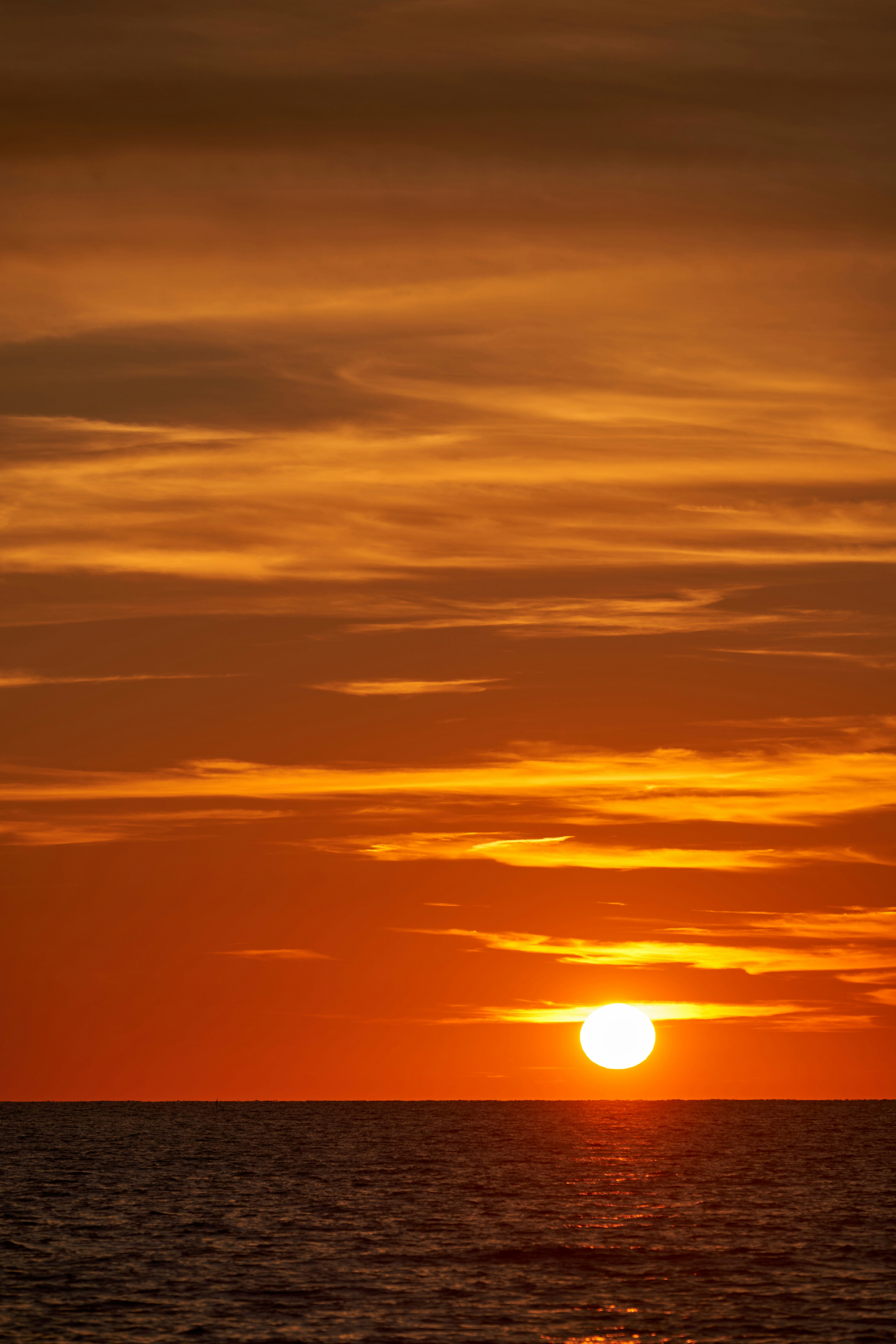 Photo by wolfgang_hasselmann