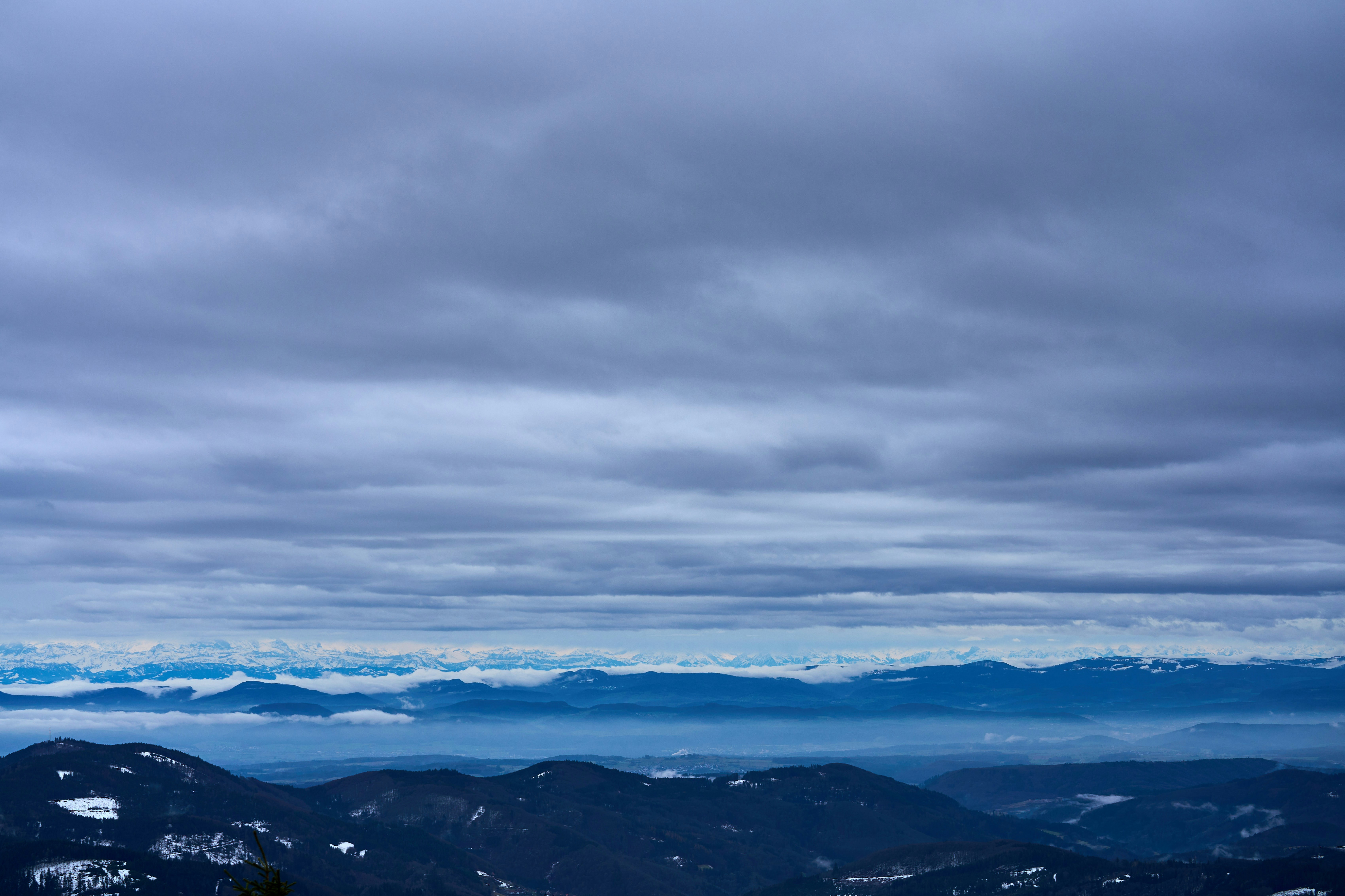 Photo by wolfgang_hasselmann