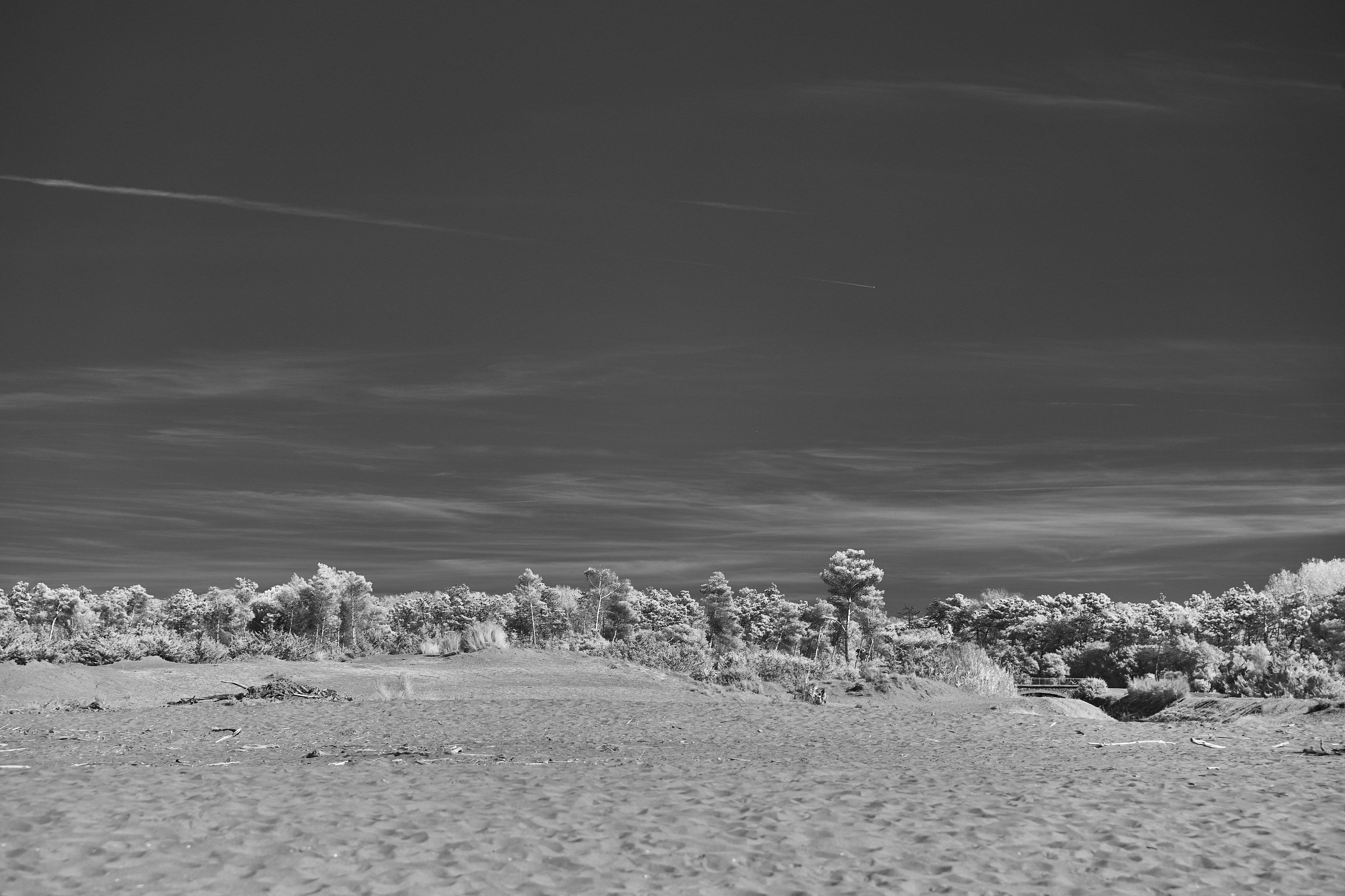 Photo by wolfgang_hasselmann