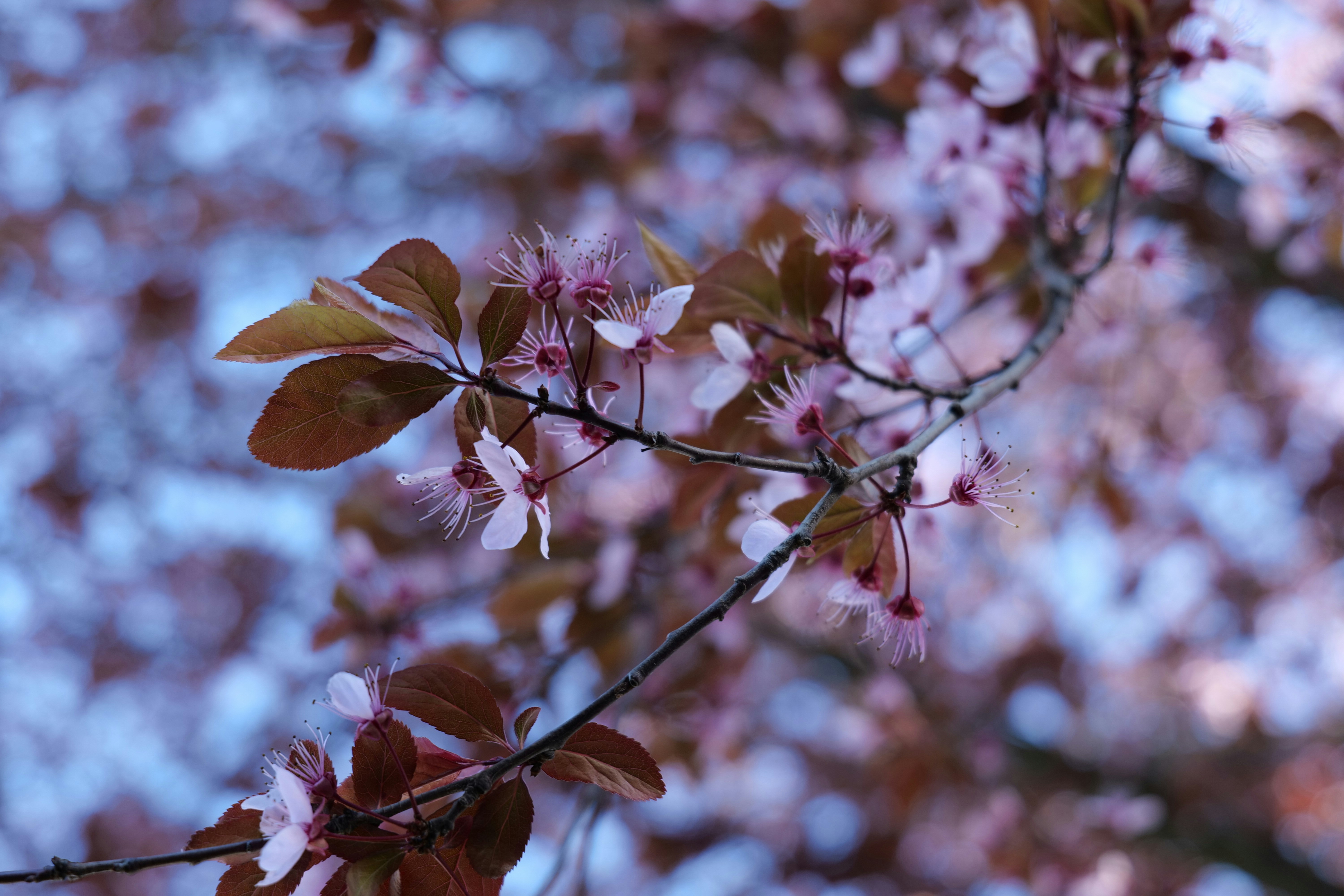 Photo by garza_media05