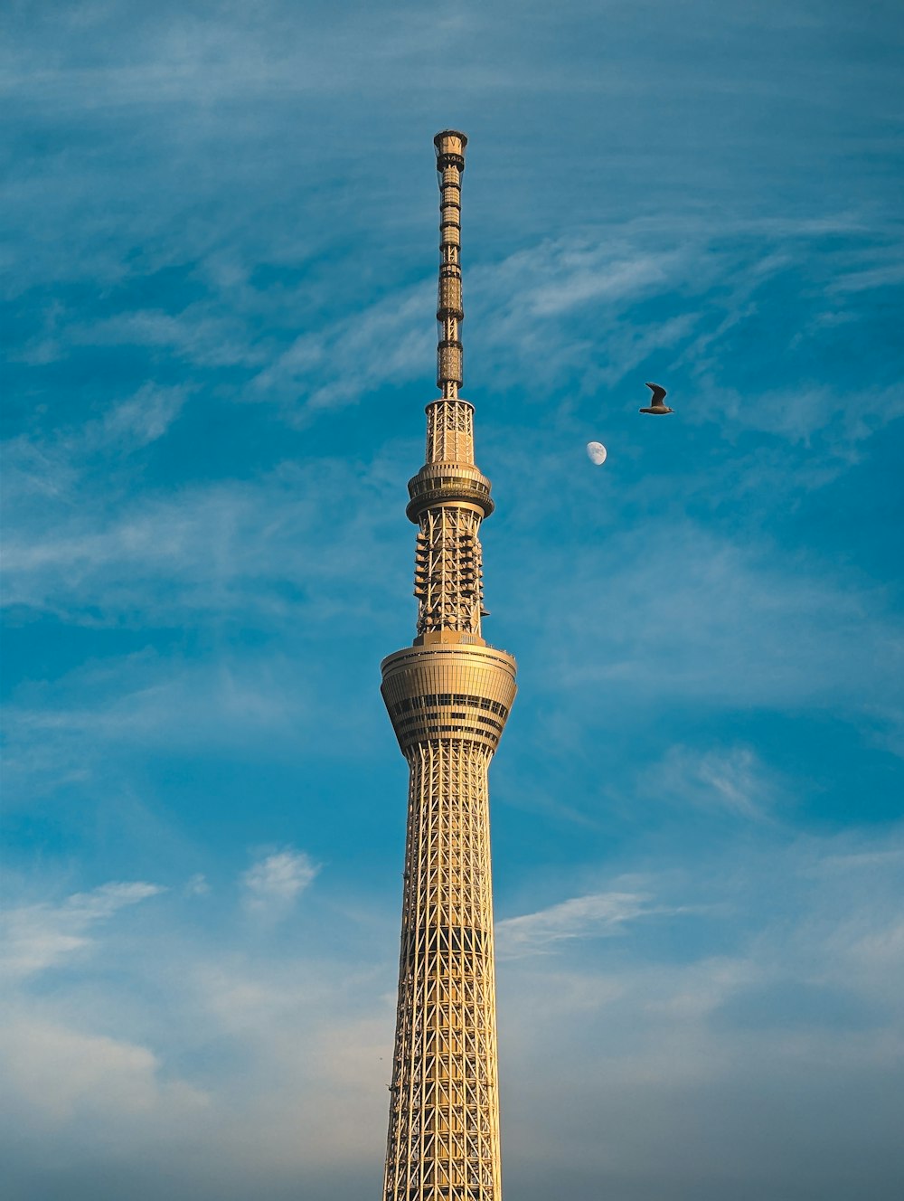 a tall tower with a bird flying in the sky