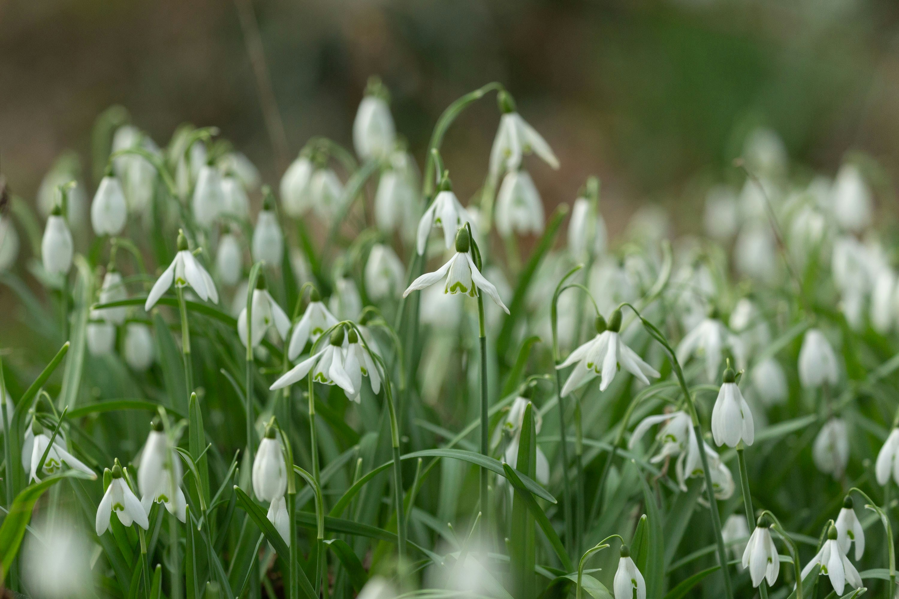 Photo by itscakefortea