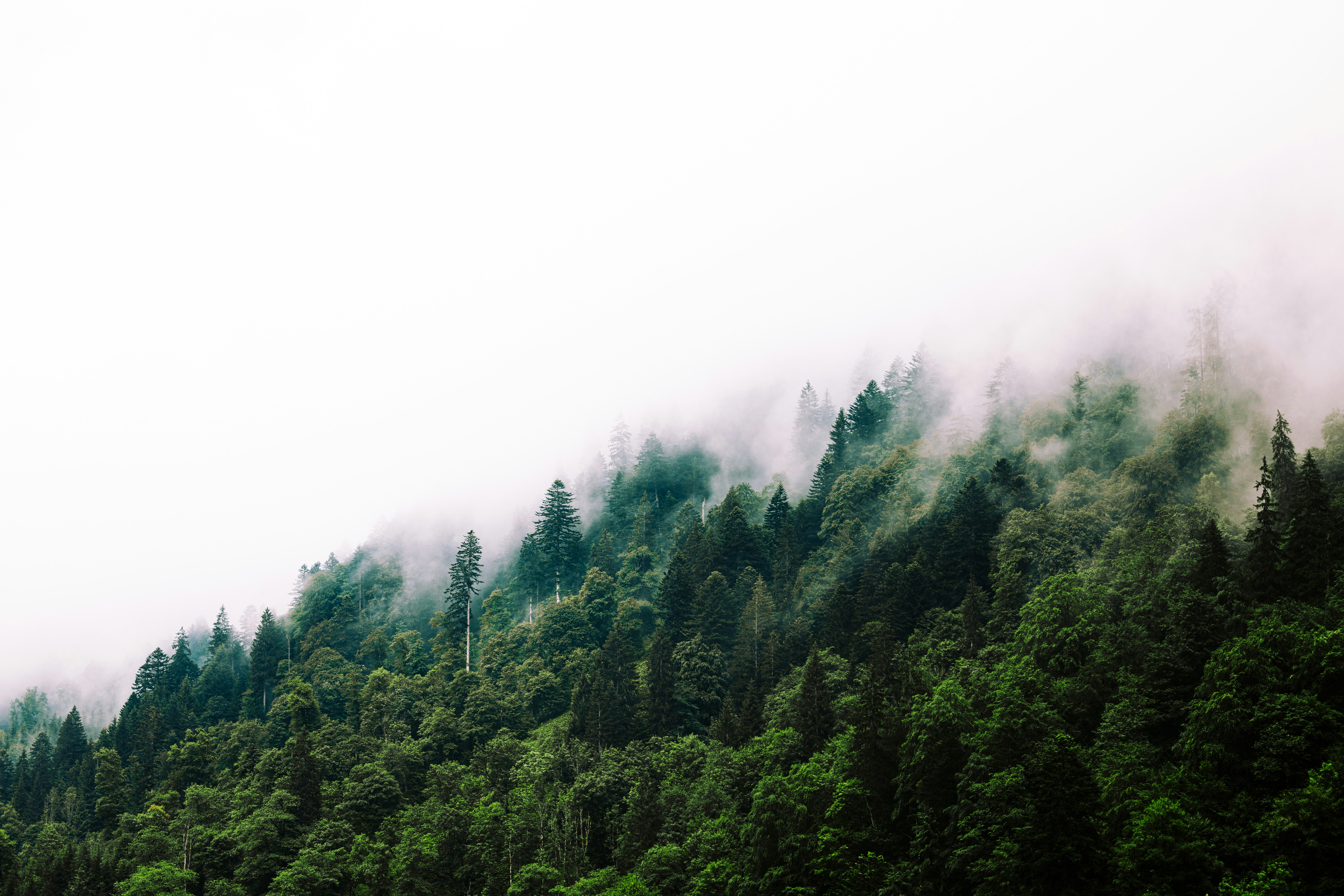 Photo by brunovdkraan