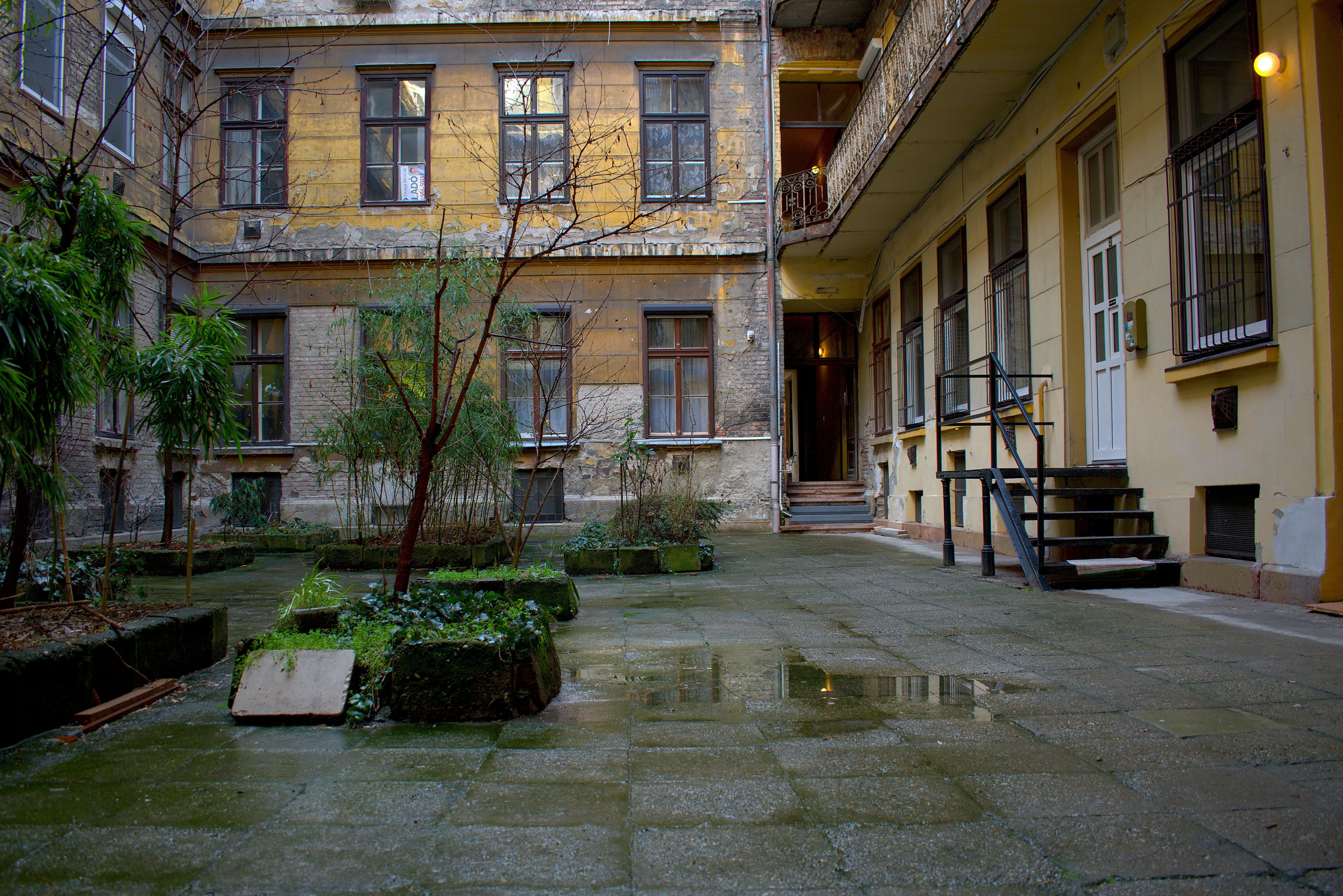 Stop image for Santa Fe to Monument Valley: 3-Day Desert Journey - a courtyard with a tree in the middle of it -  in Southwest USA - Photo by Stefan Stevsic on Unsplash